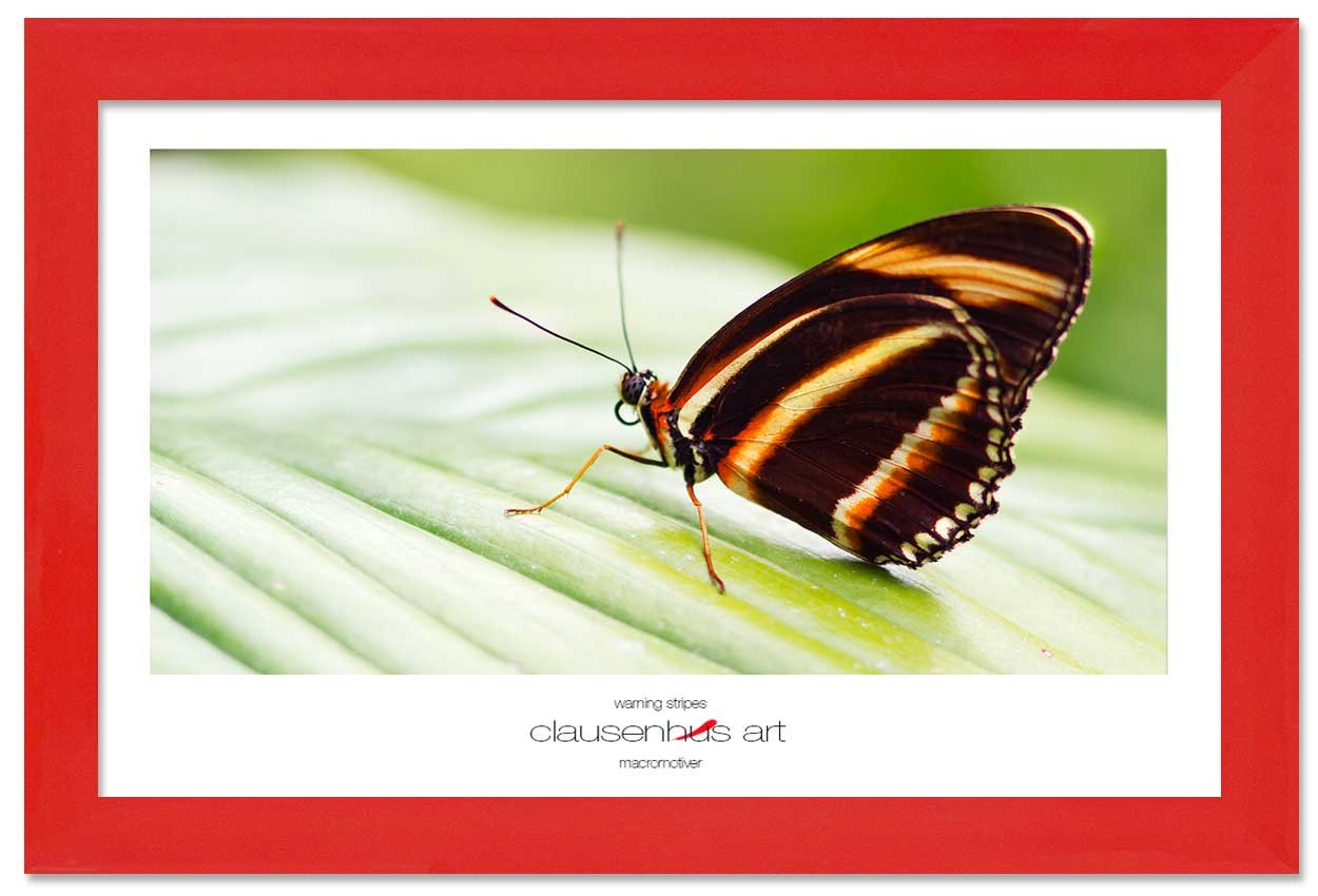 warning-stripes-copy.jpg