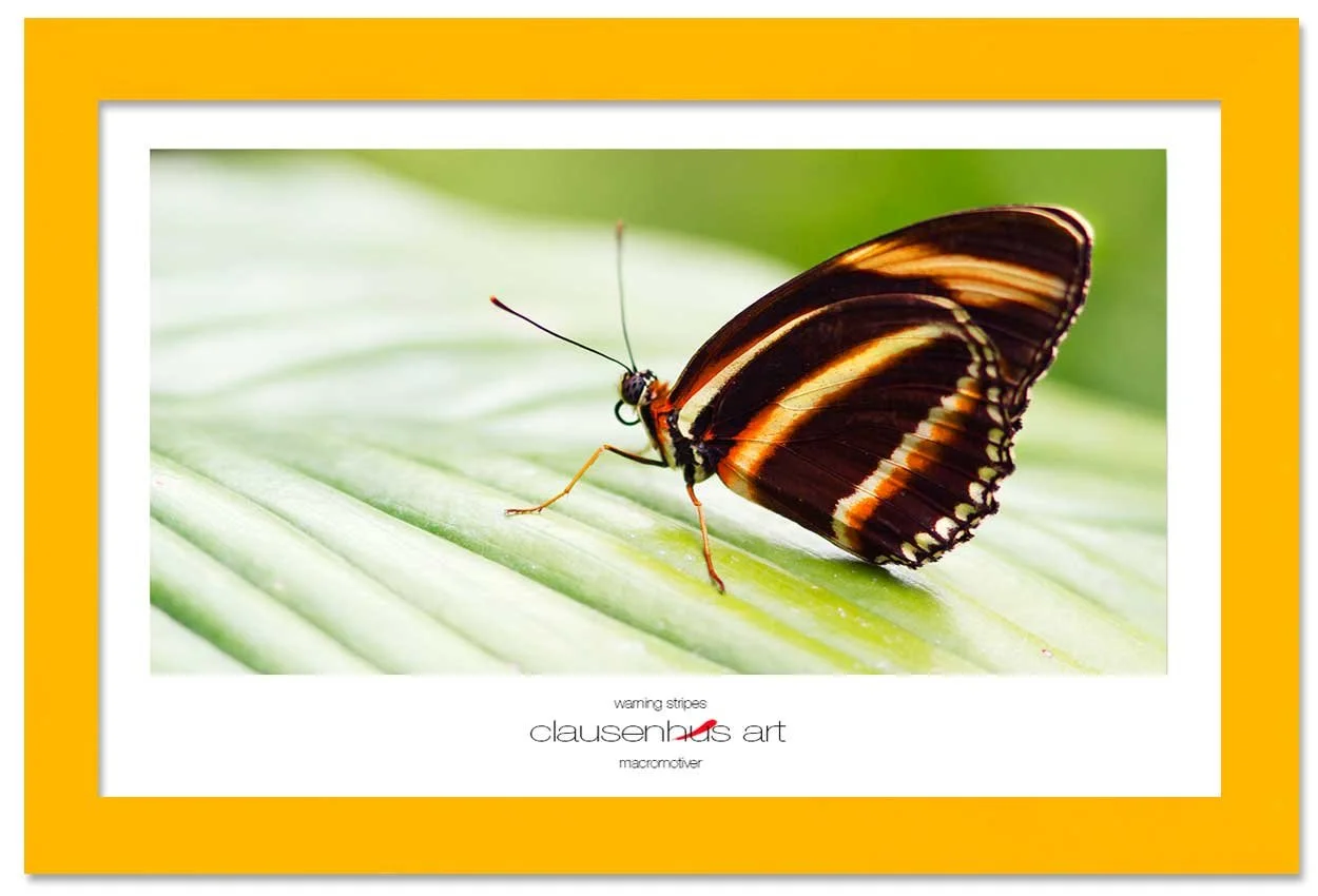 warning-stripes-copy.jpg