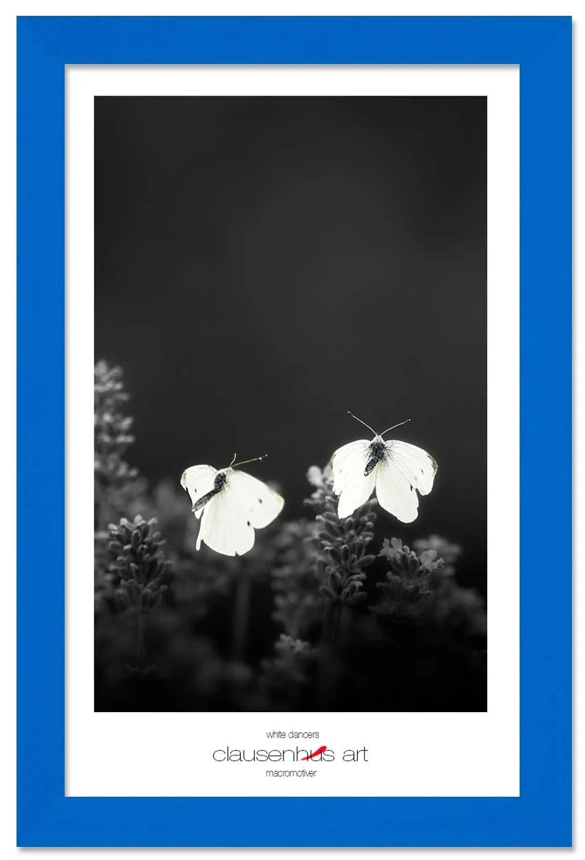 white-dancers-copy.jpg