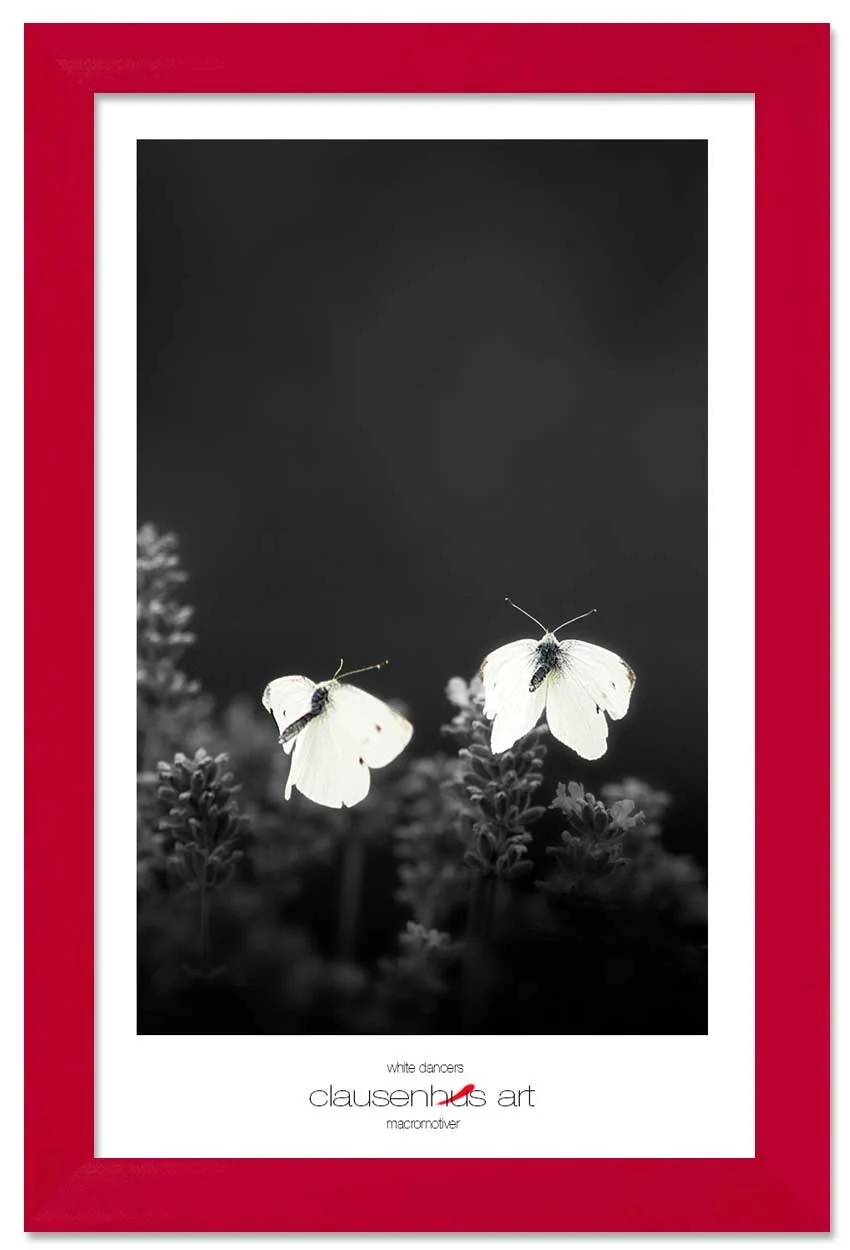 white-dancers-copy.jpg