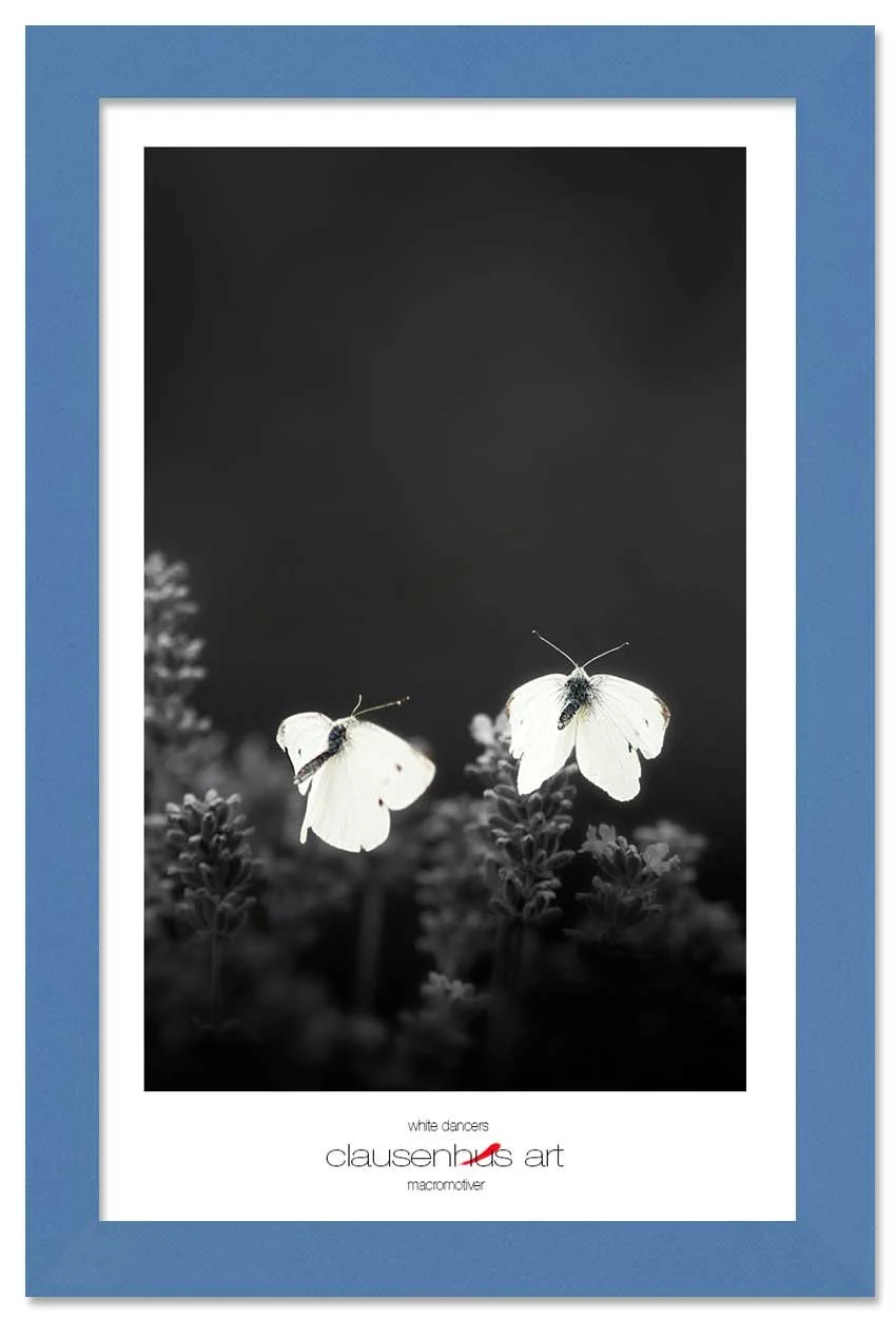 white-dancers-copy.jpg