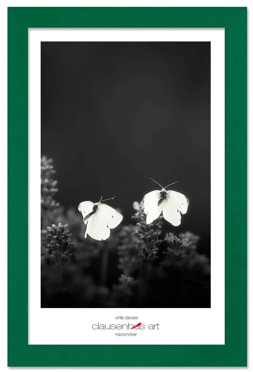 white-dancers-copy.jpg