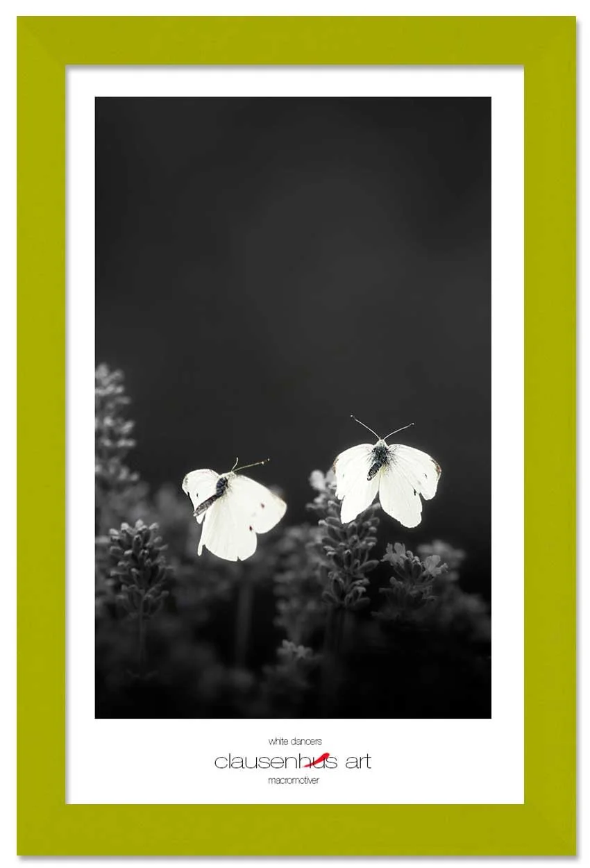 white-dancers-copy.jpg