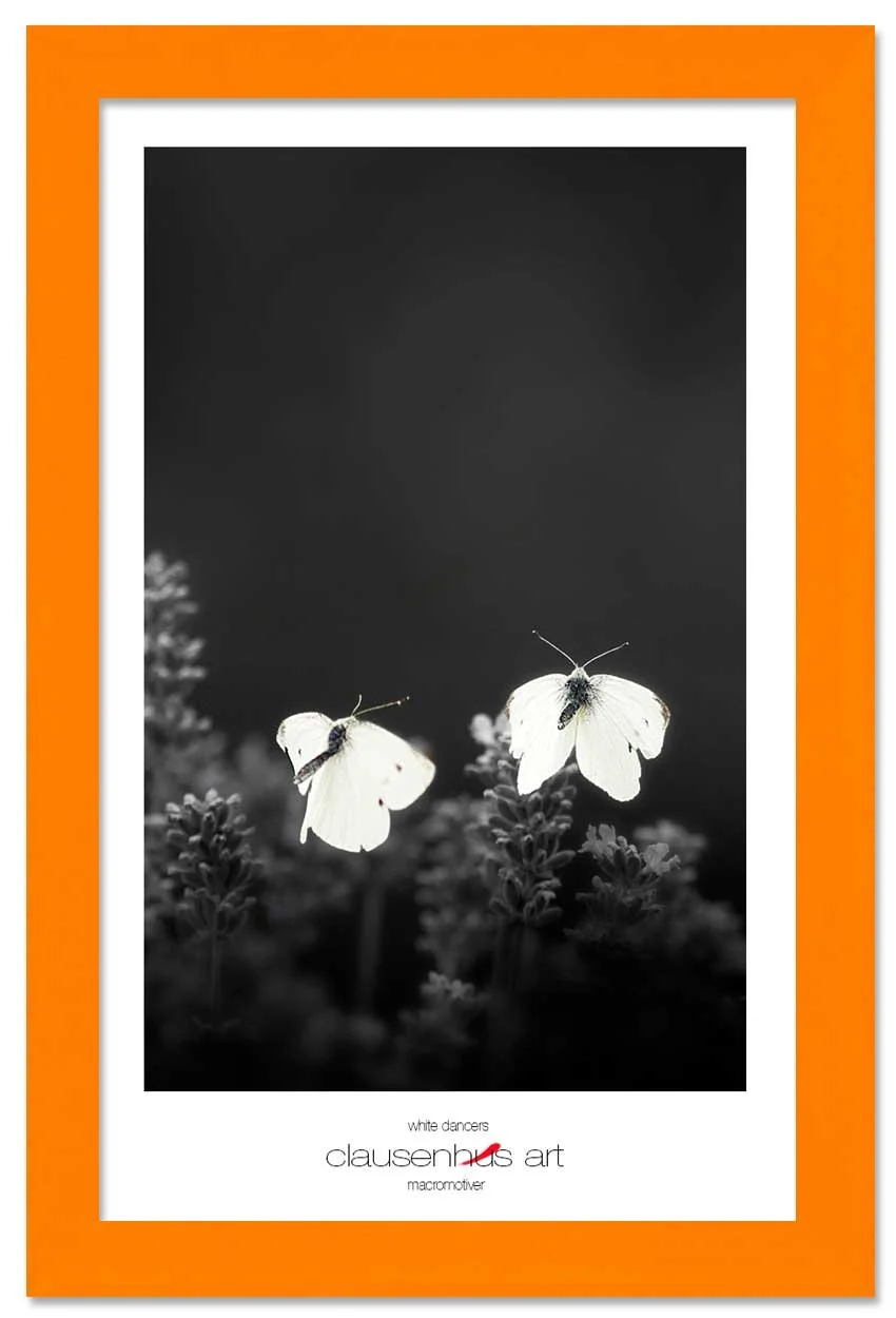 white-dancers-copy.jpg