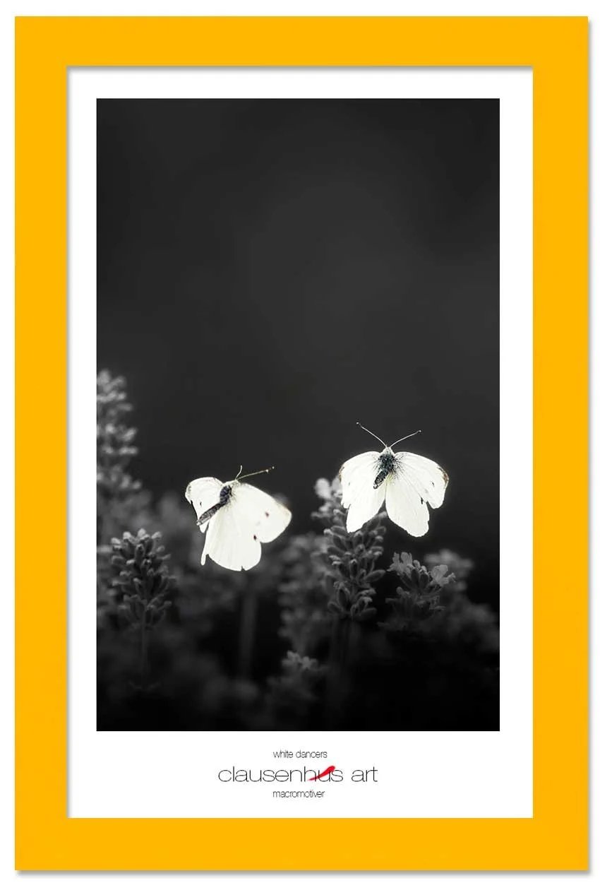 white-dancers-copy.jpg