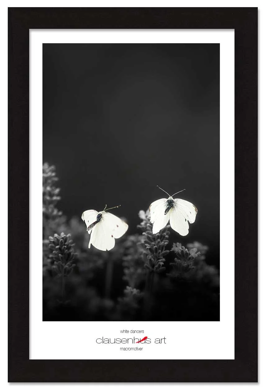 white-dancers-copy.jpg