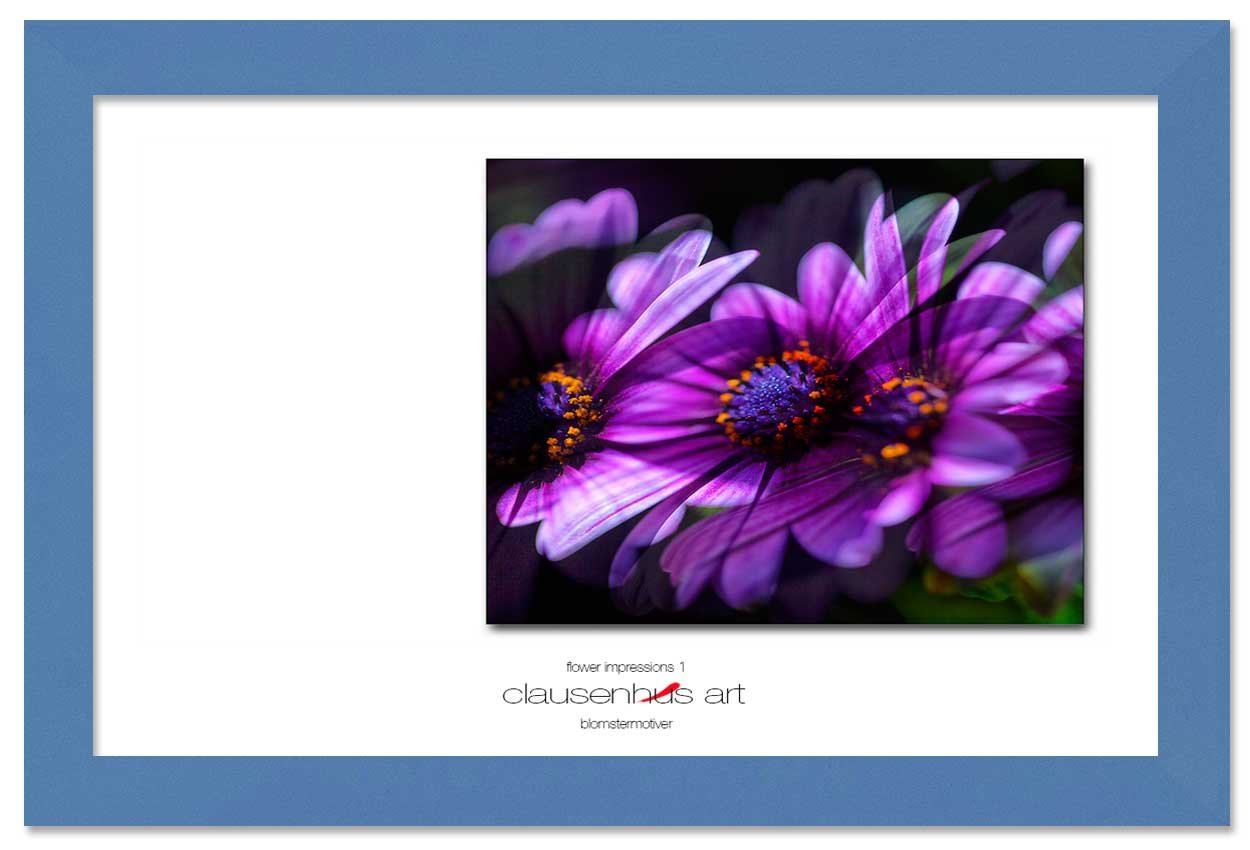 flower-impressions-1-copy.jpg