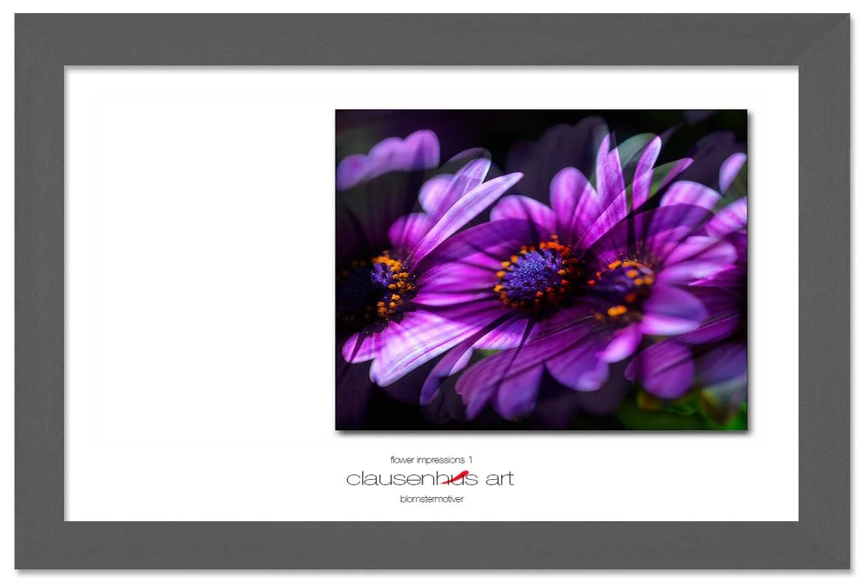 flower-impressions-1-copy.jpg