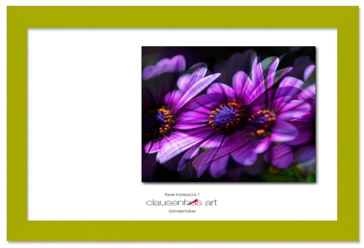 flower-impressions-1-copy.jpg