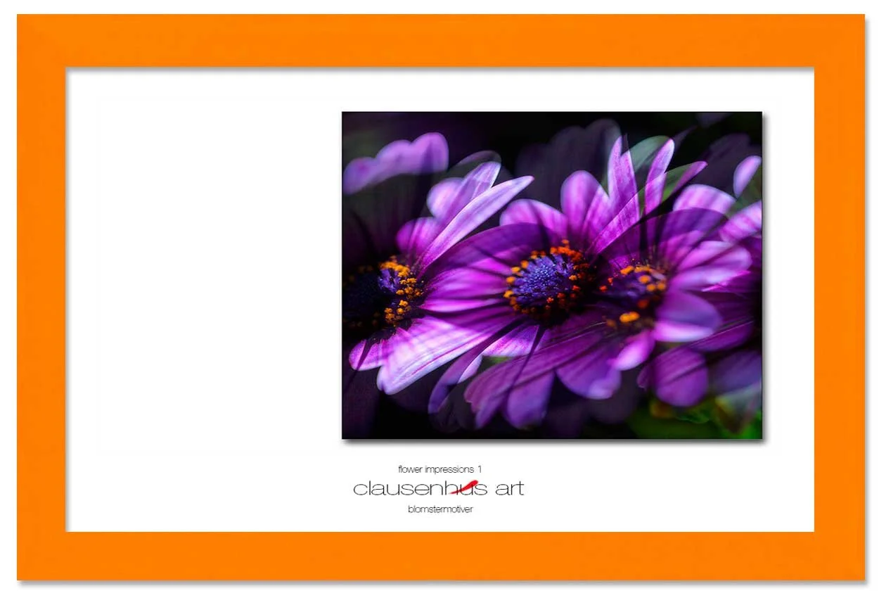 flower-impressions-1-copy.jpg