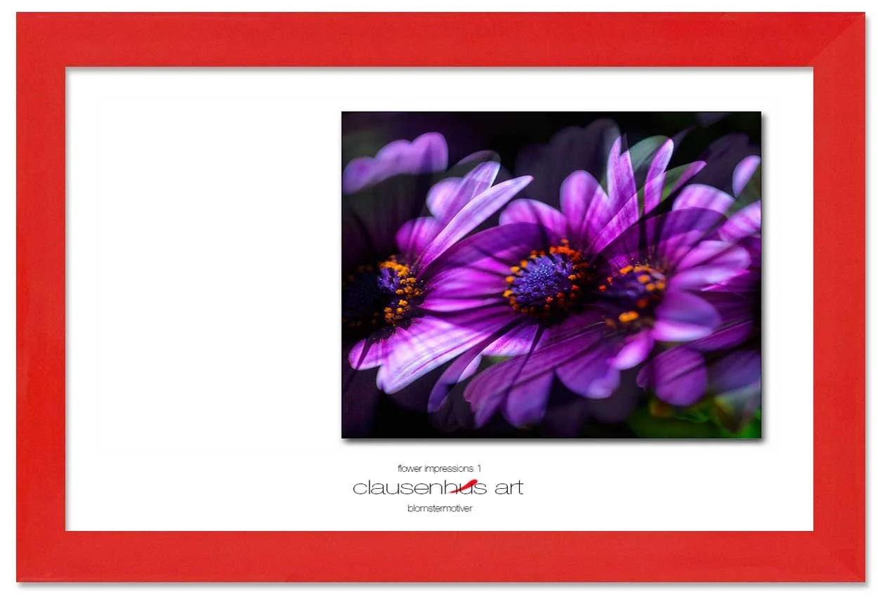flower-impressions-1-copy.jpg