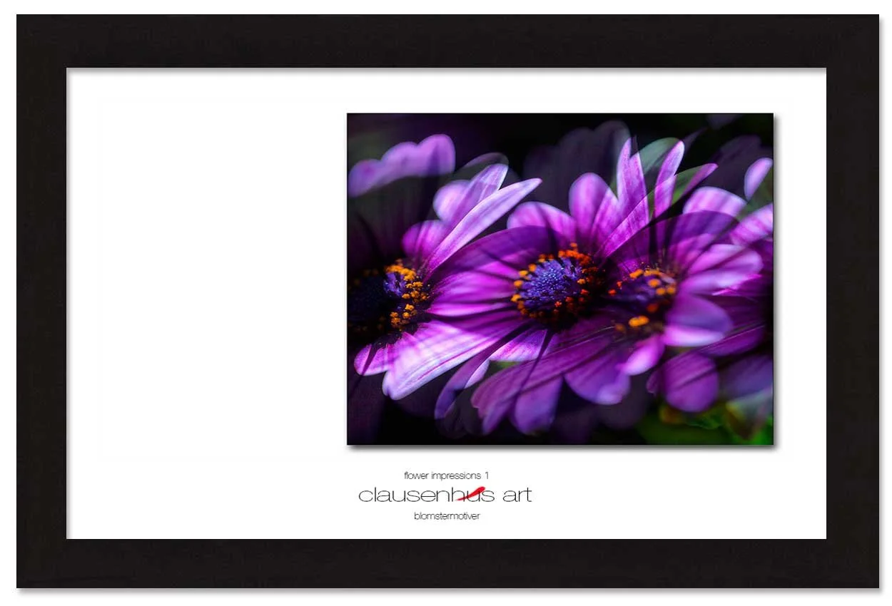 flower-impressions-1-copy.jpg