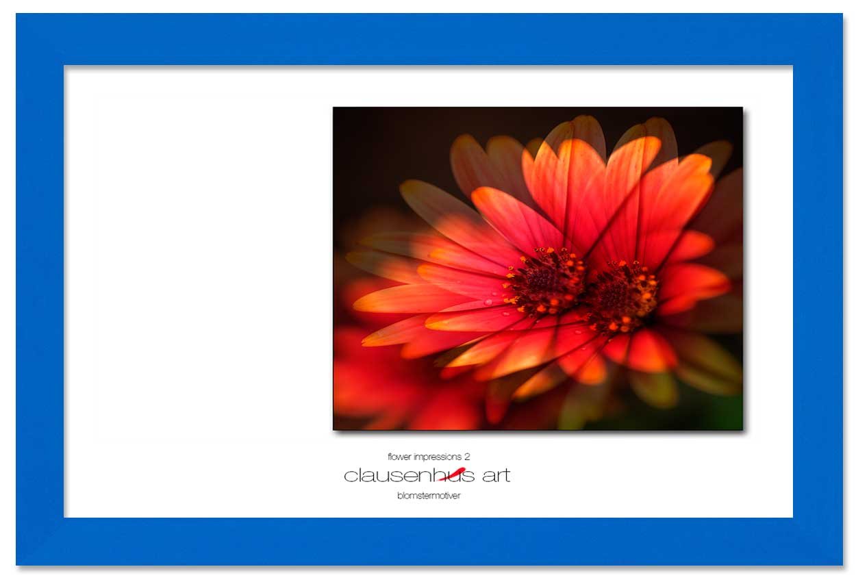 flower-impressions-2-copy.jpg