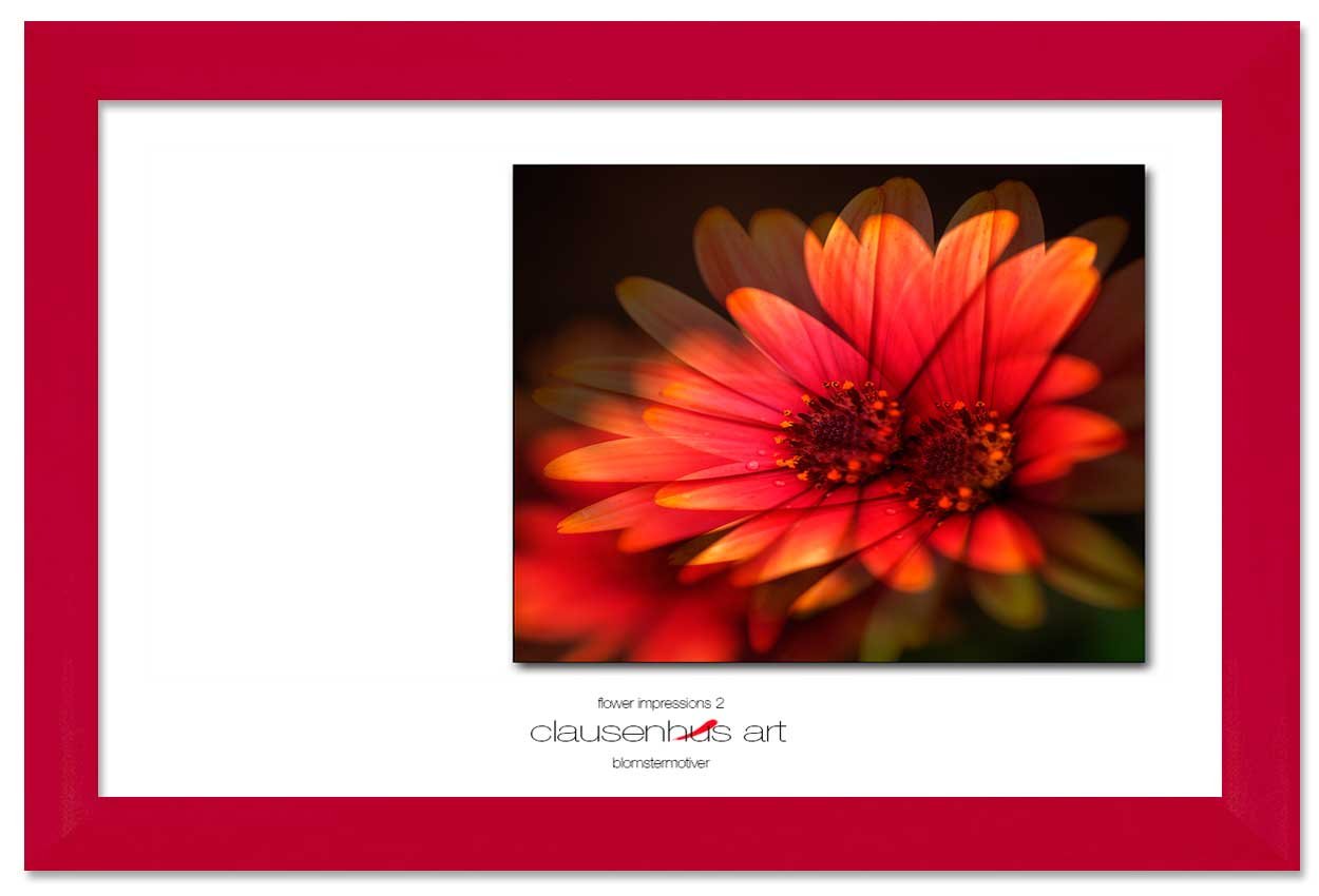 flower-impressions-2-copy.jpg