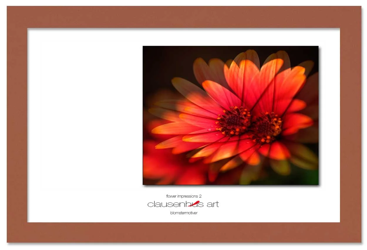 flower-impressions-2-copy.jpg