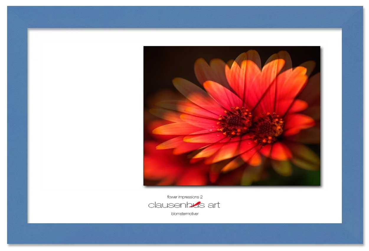 flower-impressions-2-copy.jpg