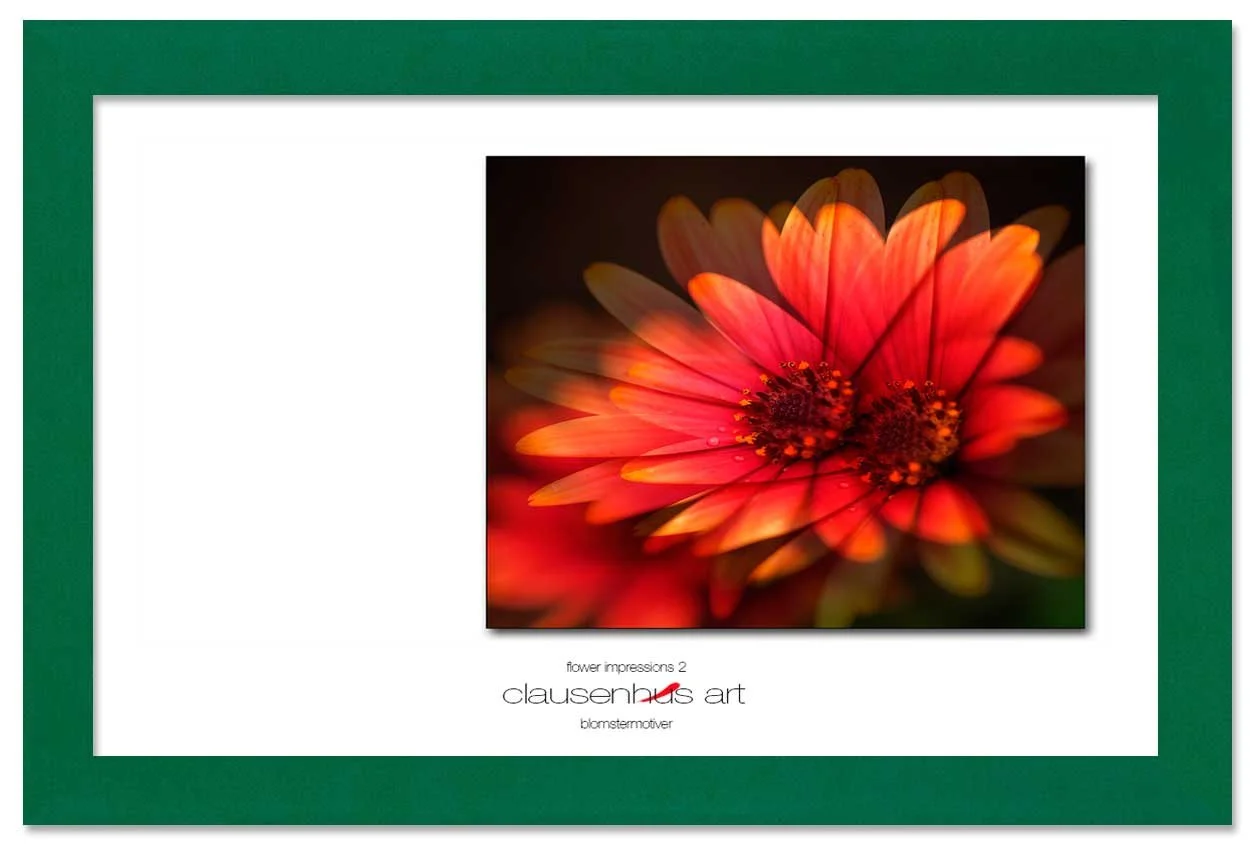 flower-impressions-2-copy.jpg