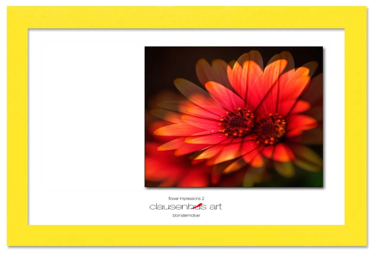 flower-impressions-2-copy.jpg