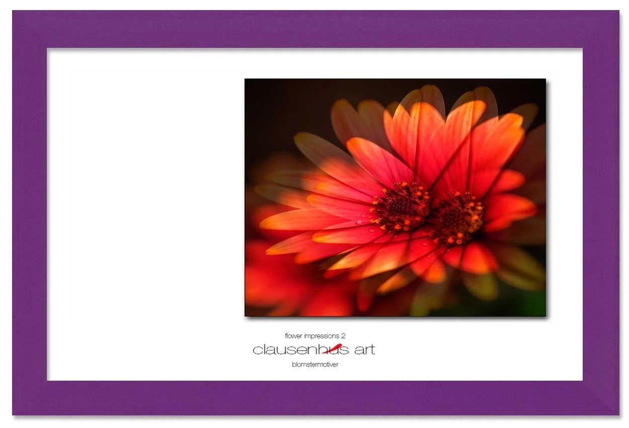flower-impressions-2-copy.jpg