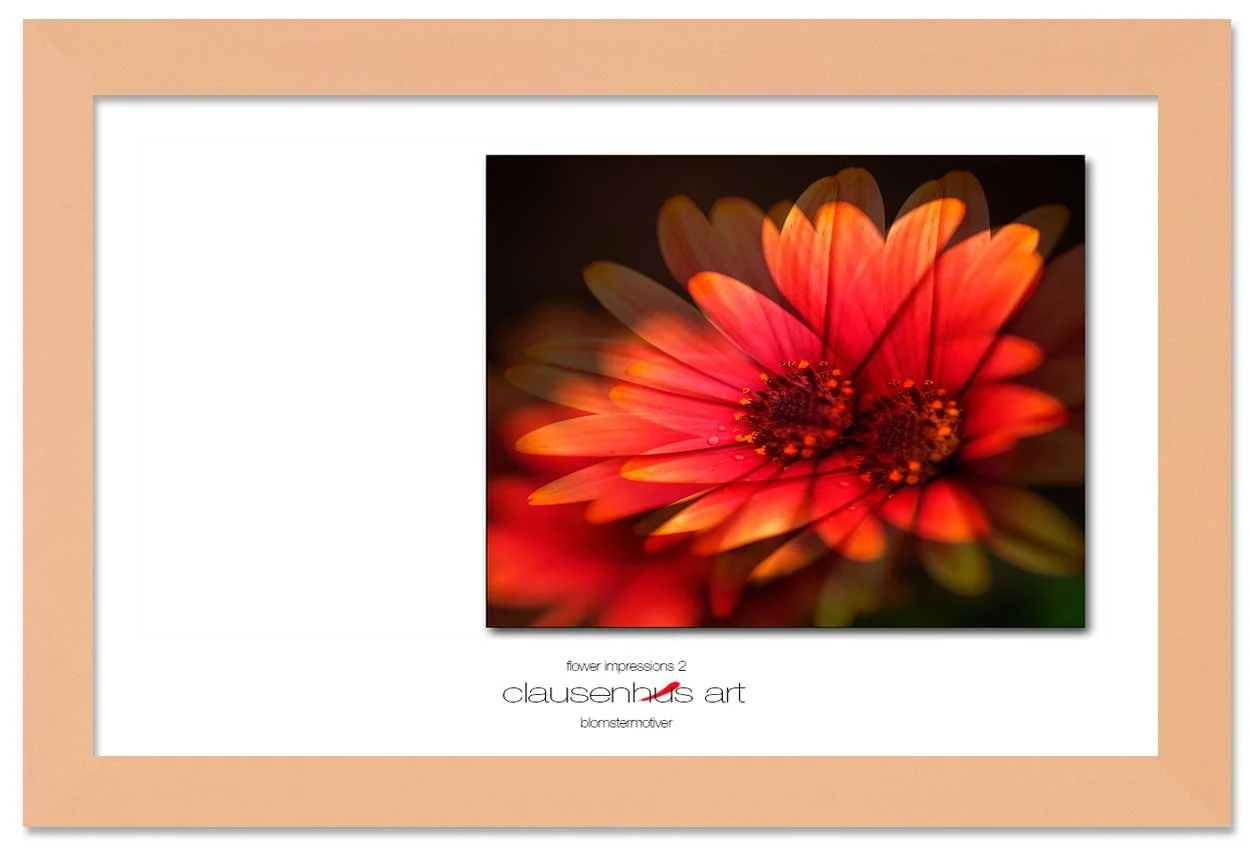 flower-impressions-2-copy.jpg