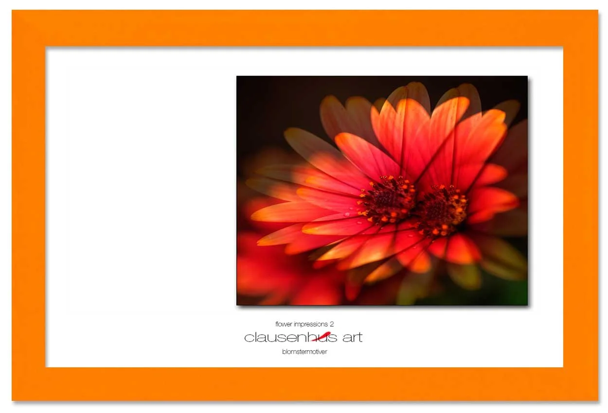 flower-impressions-2-copy.jpg