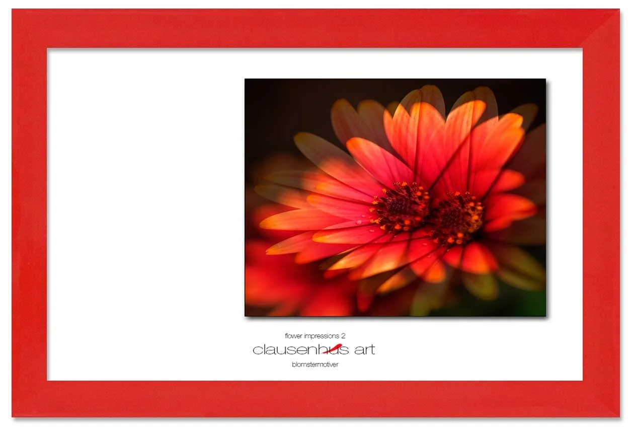 flower-impressions-2-copy.jpg