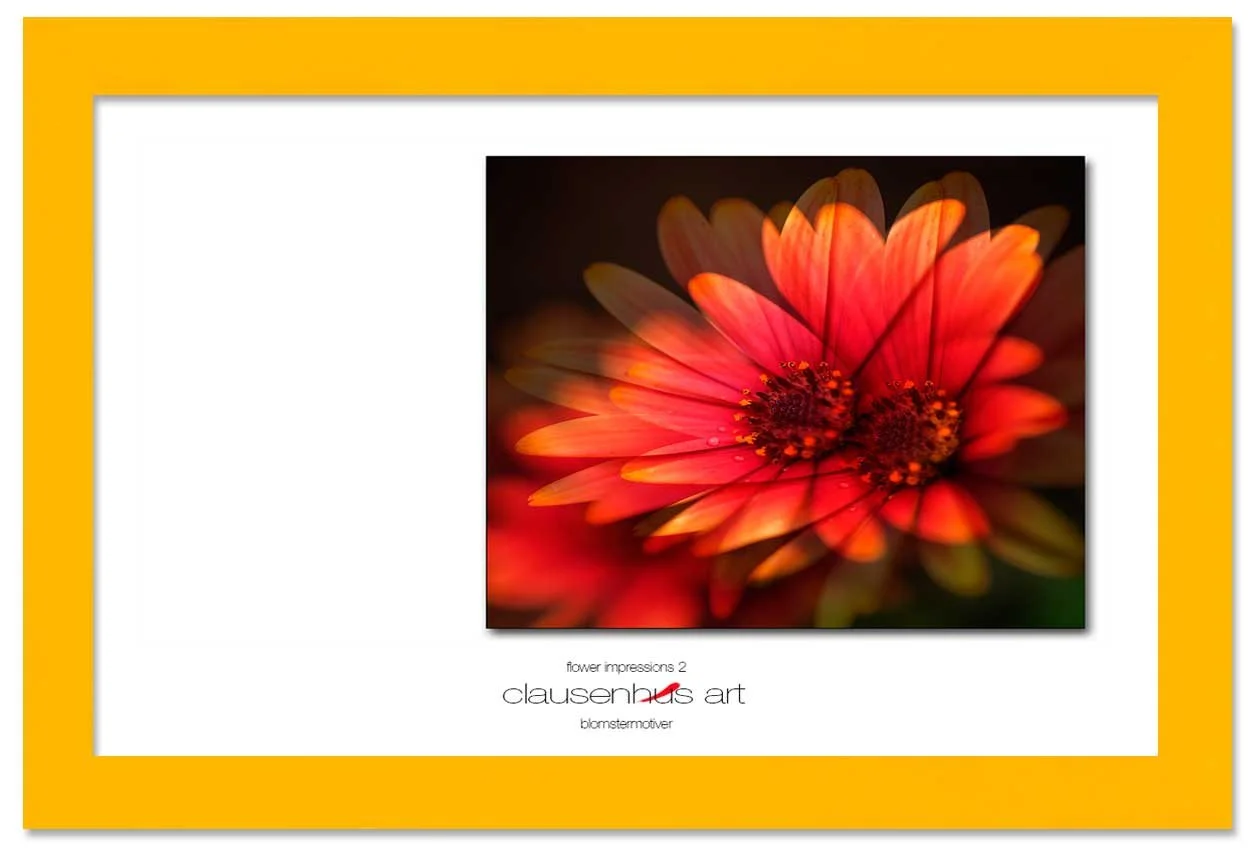 flower-impressions-2-copy.jpg