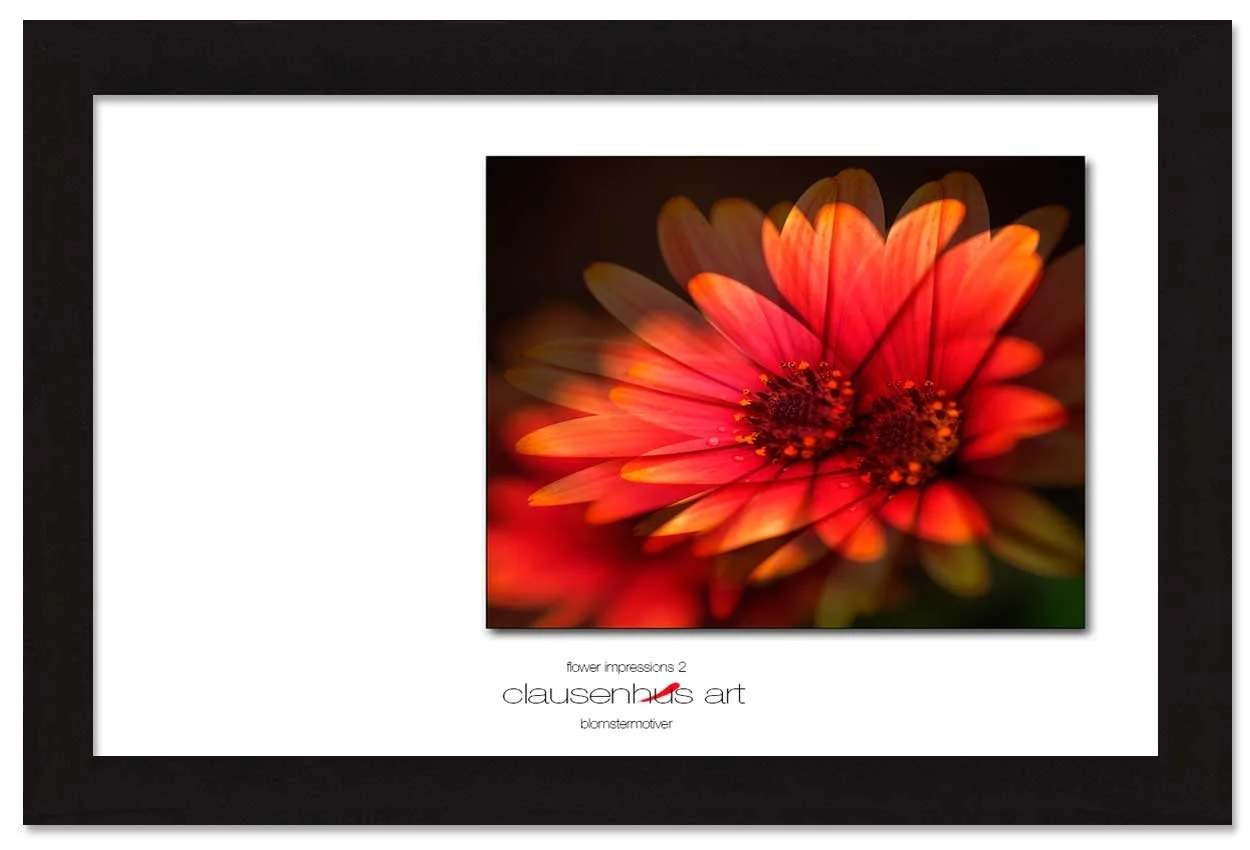 flower-impressions-2-copy.jpg