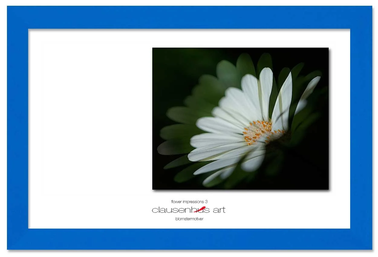 flower-impressions-3-copy.jpg