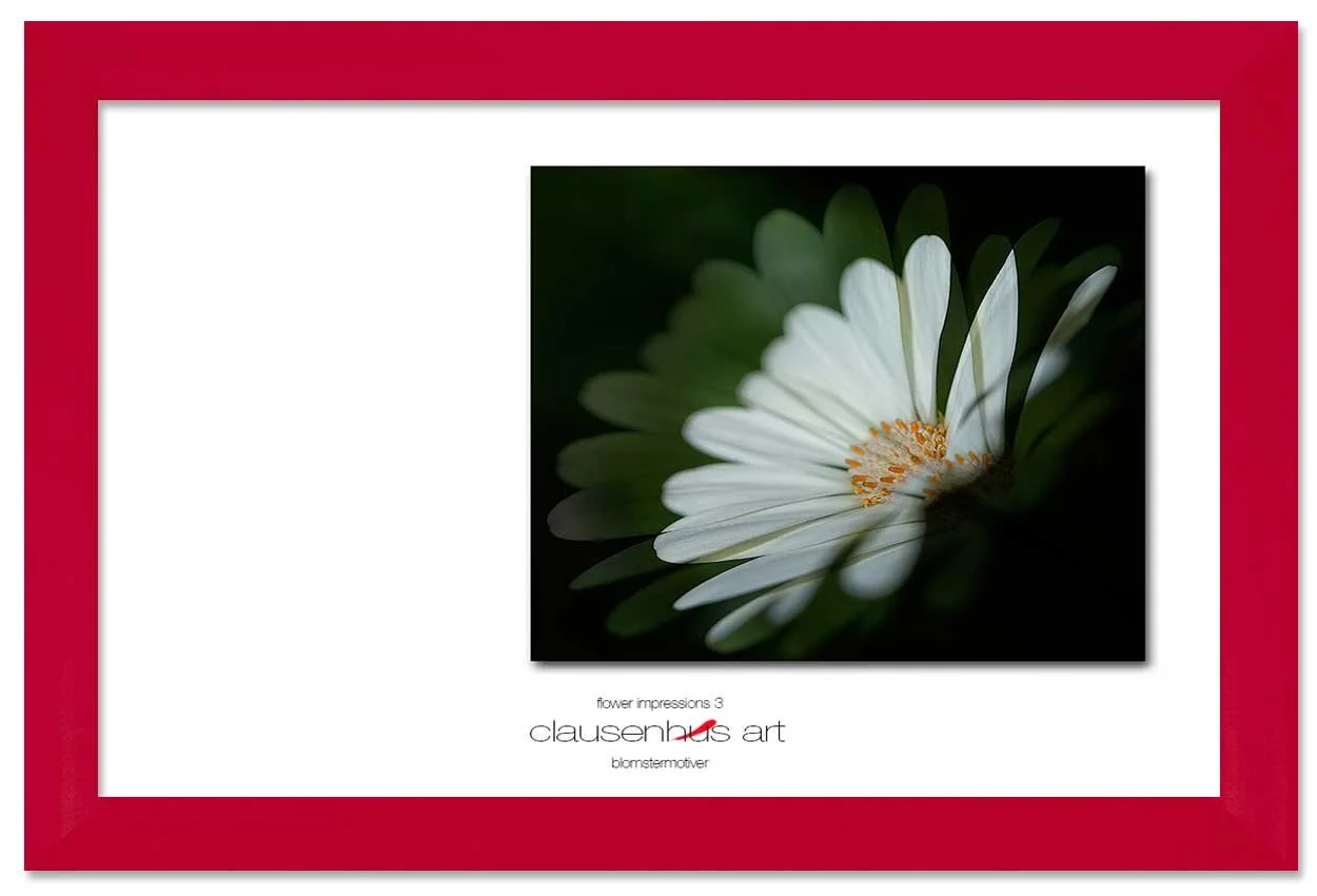 flower-impressions-3-copy.jpg