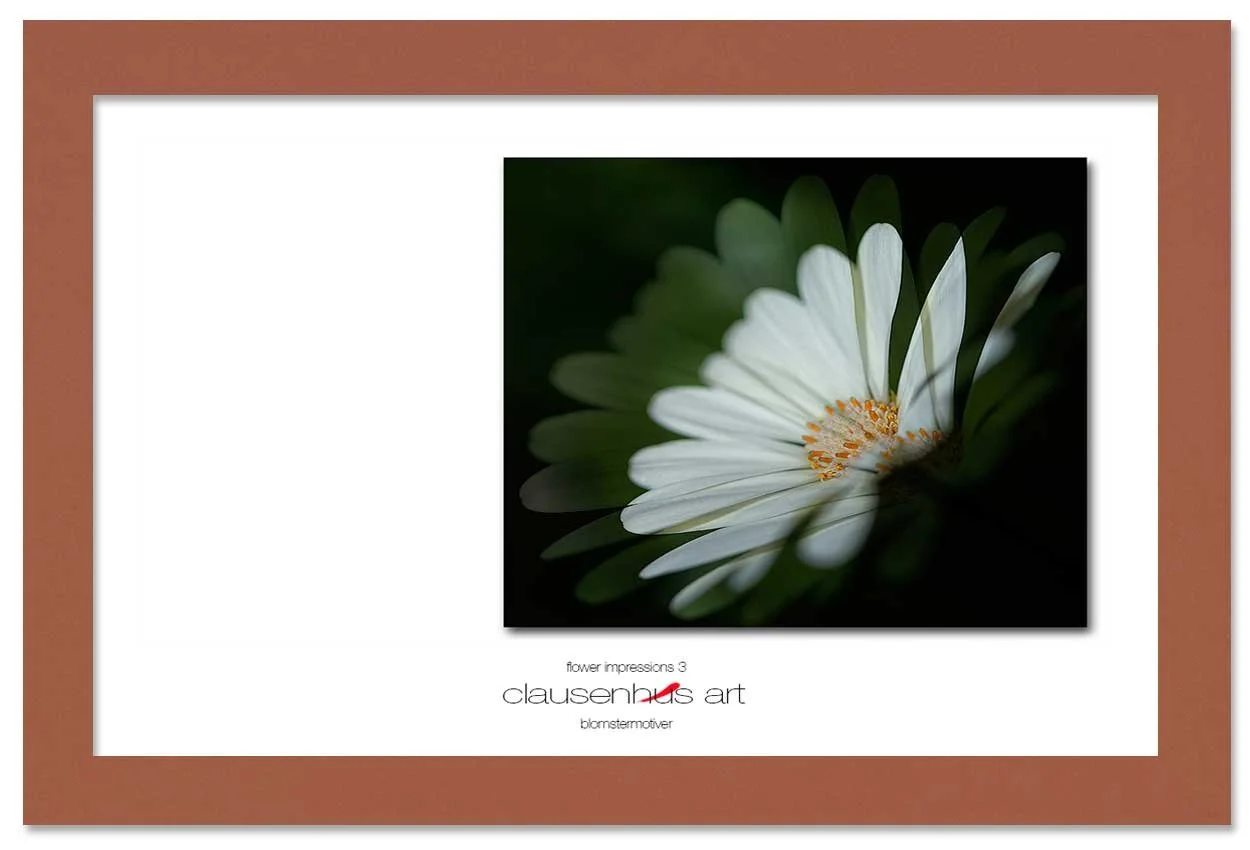 flower-impressions-3-copy.jpg
