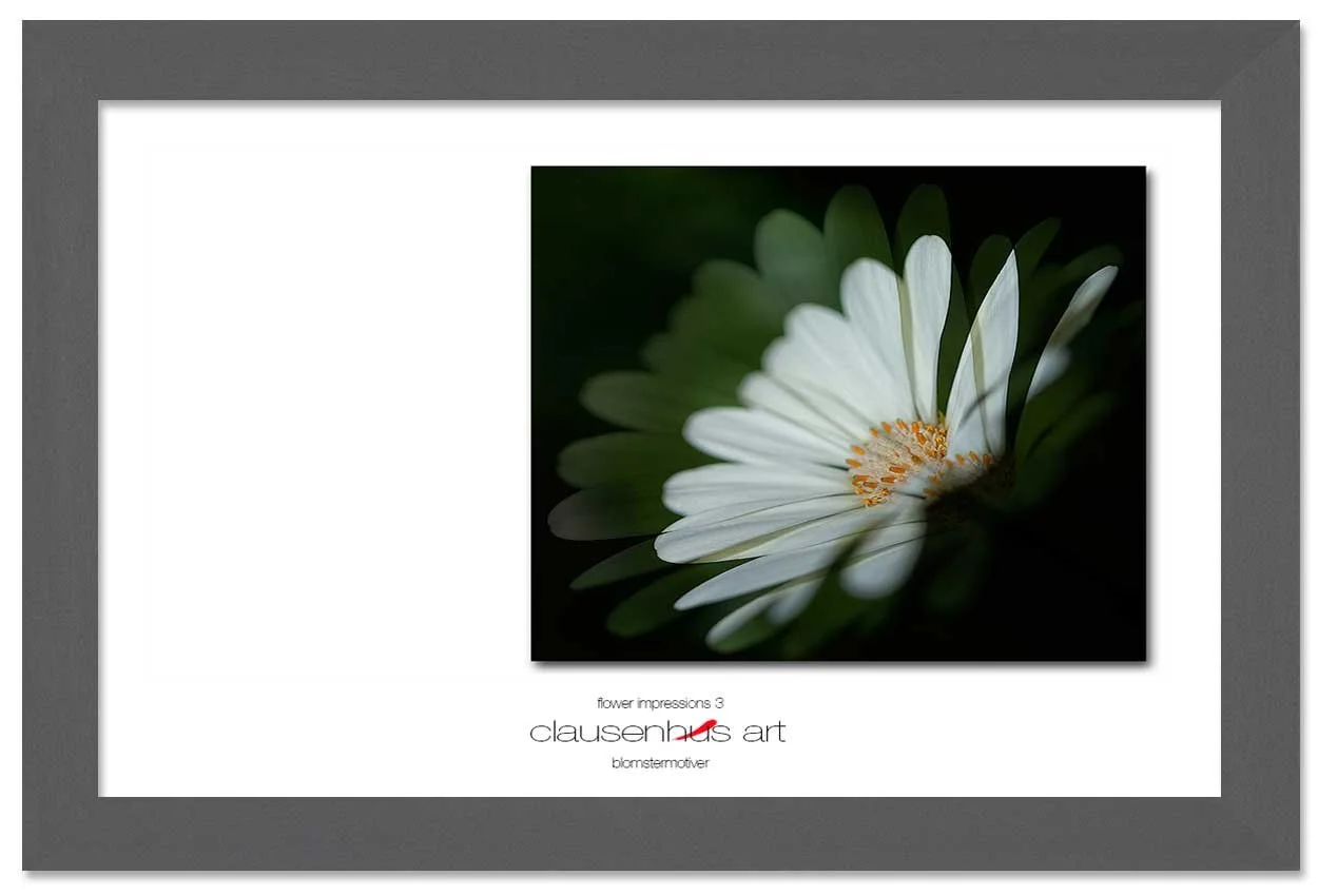flower-impressions-3-copy.jpg