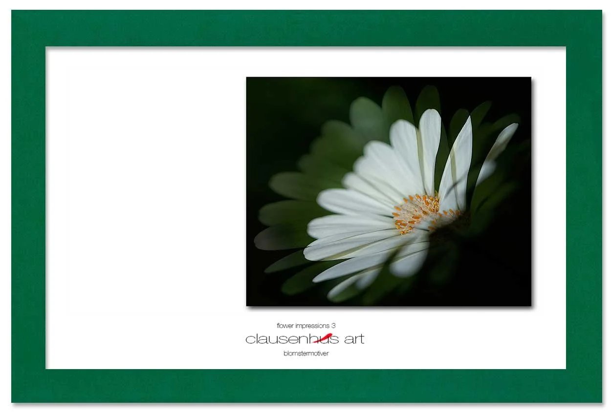 flower-impressions-3-copy.jpg