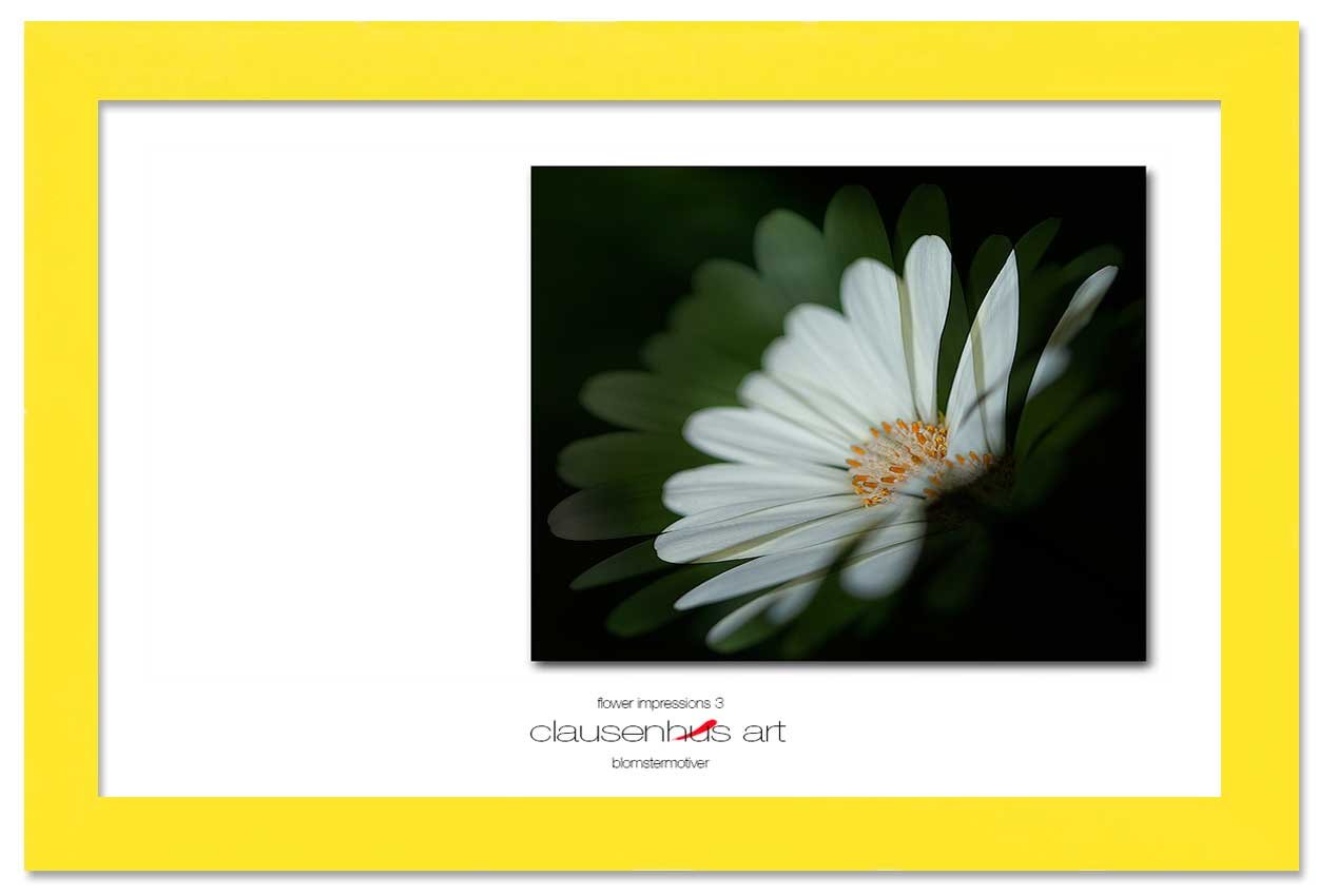 flower-impressions-3-copy.jpg