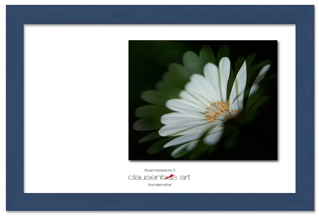 flower-impressions-3-copy.jpg