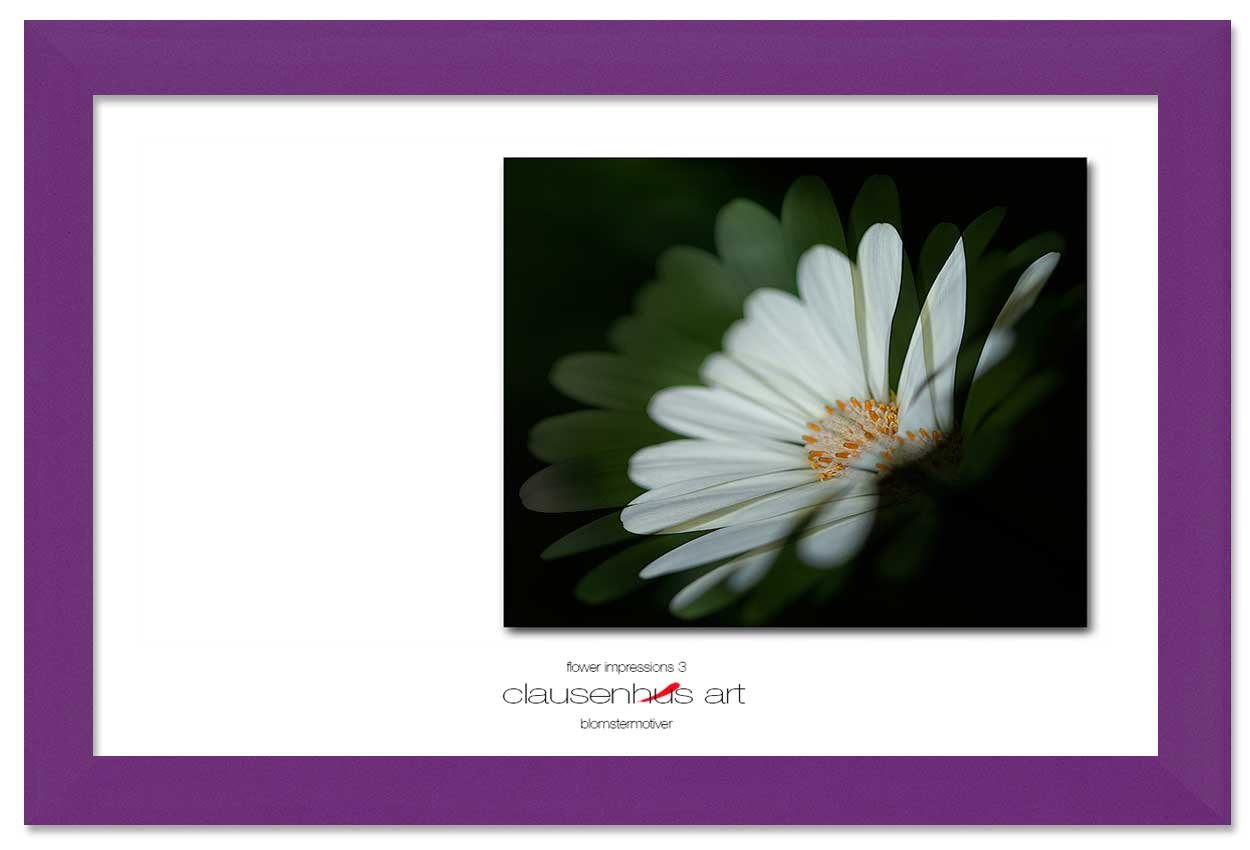 flower-impressions-3-copy.jpg