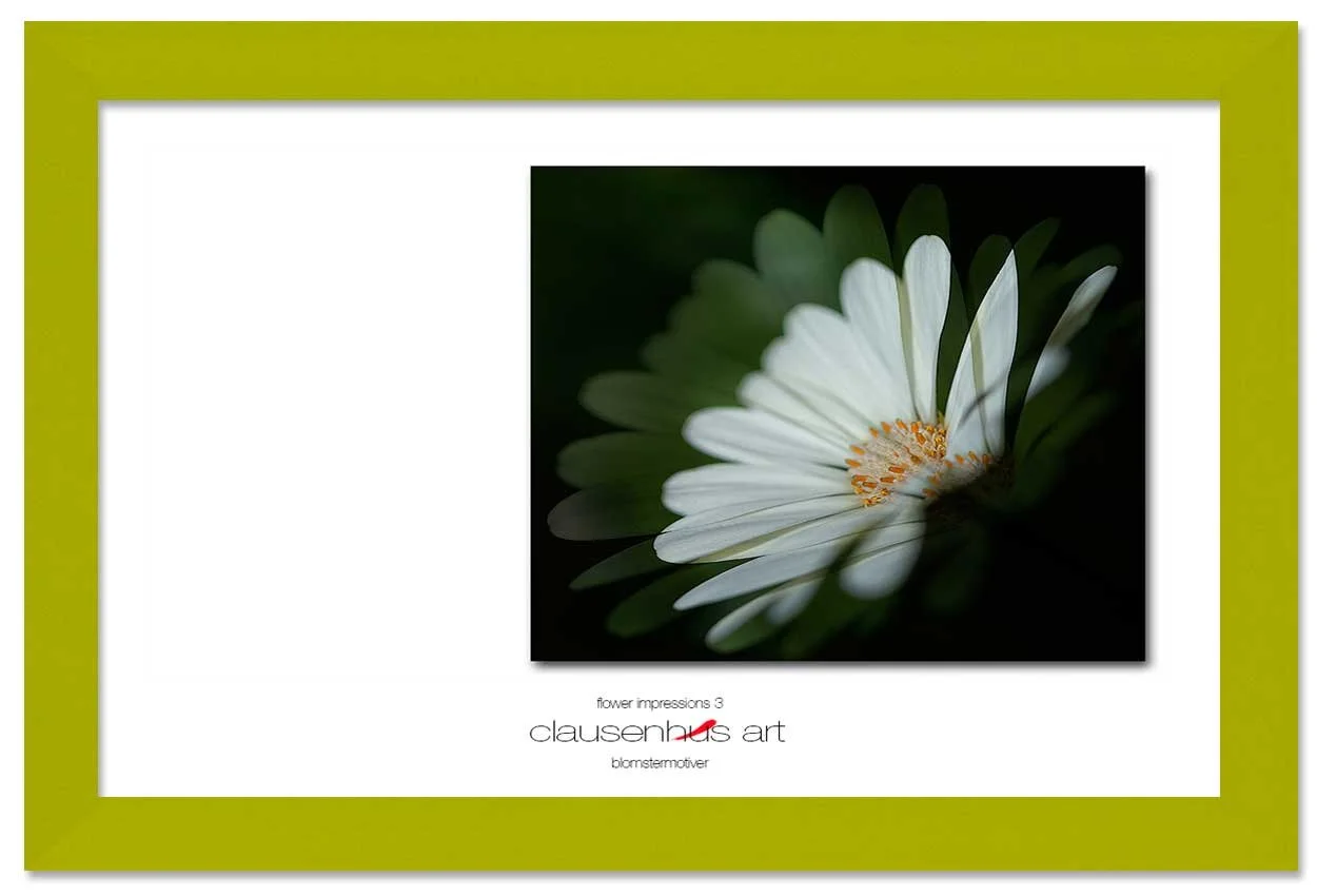 flower-impressions-3-copy.jpg
