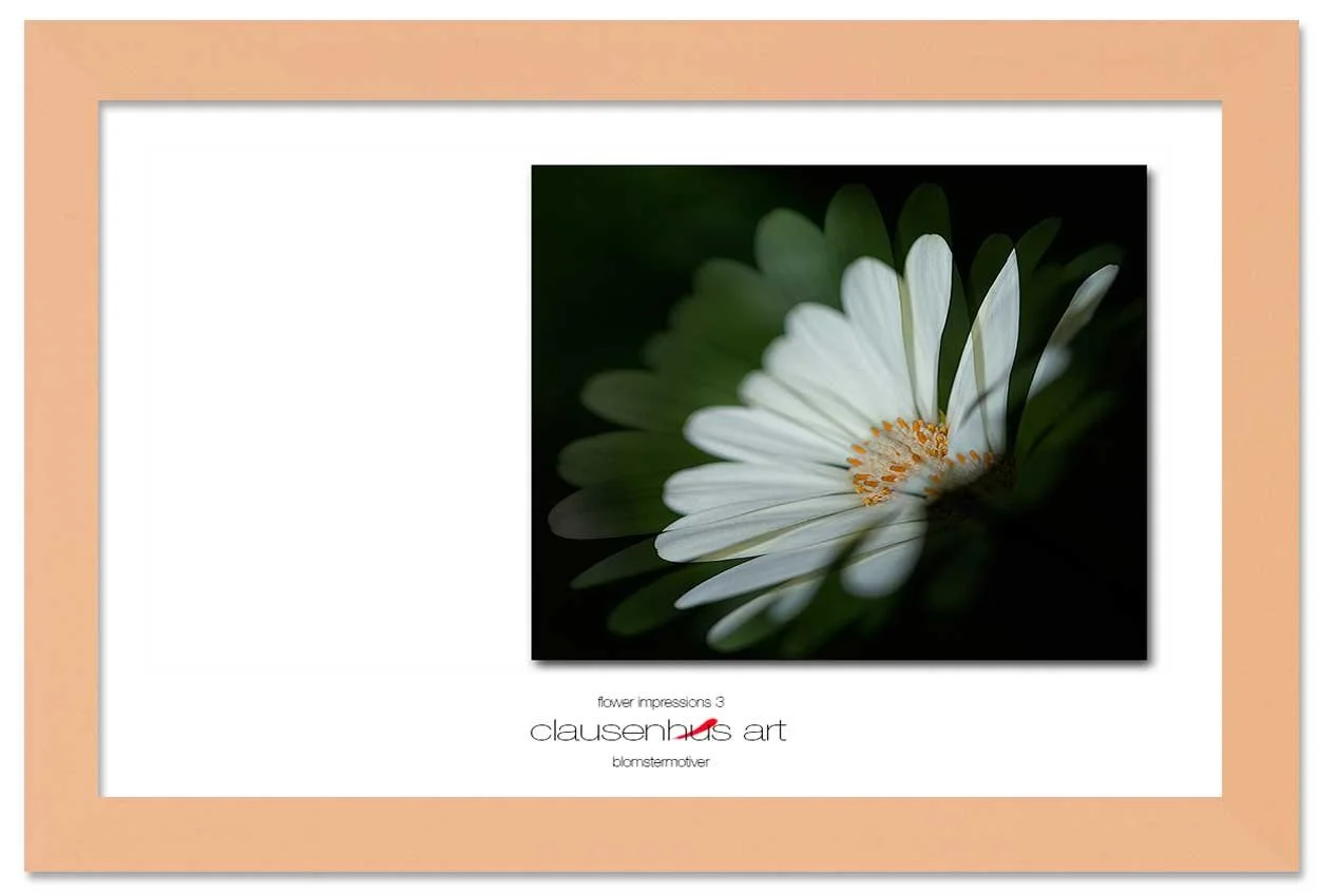 flower-impressions-3-copy.jpg