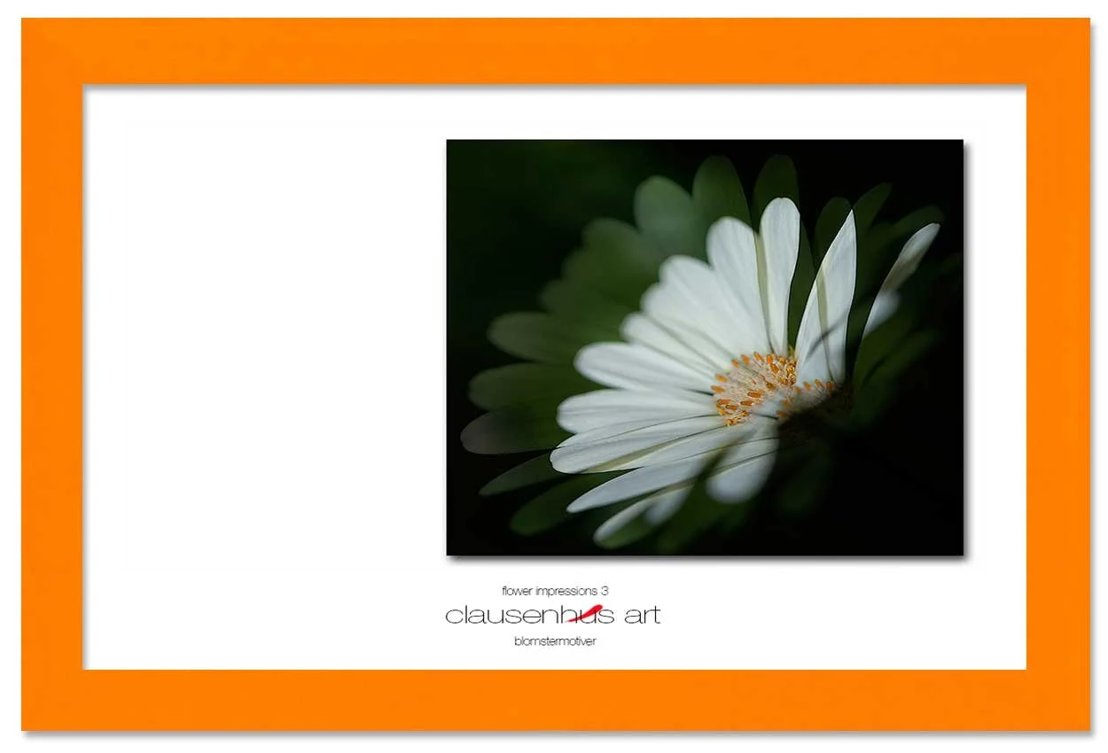 flower-impressions-3-copy.jpg