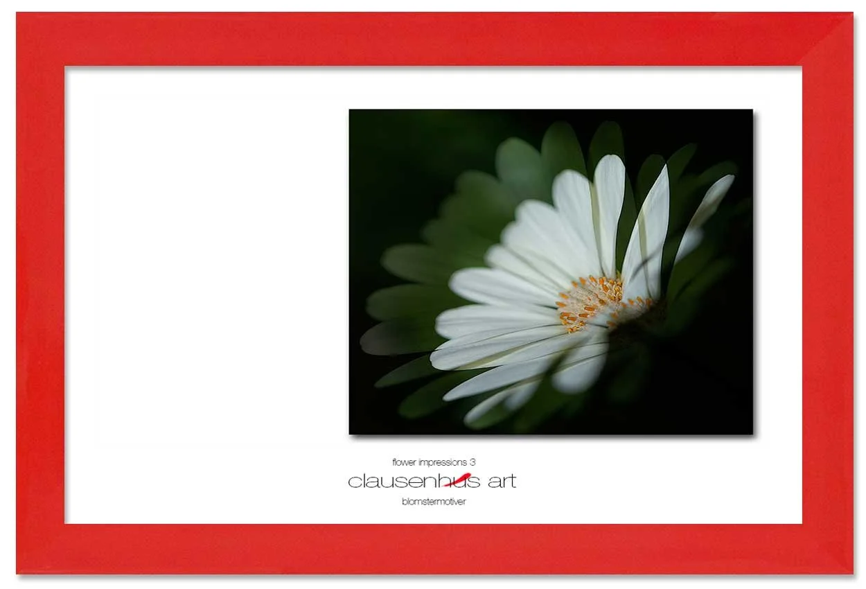 flower-impressions-3-copy.jpg