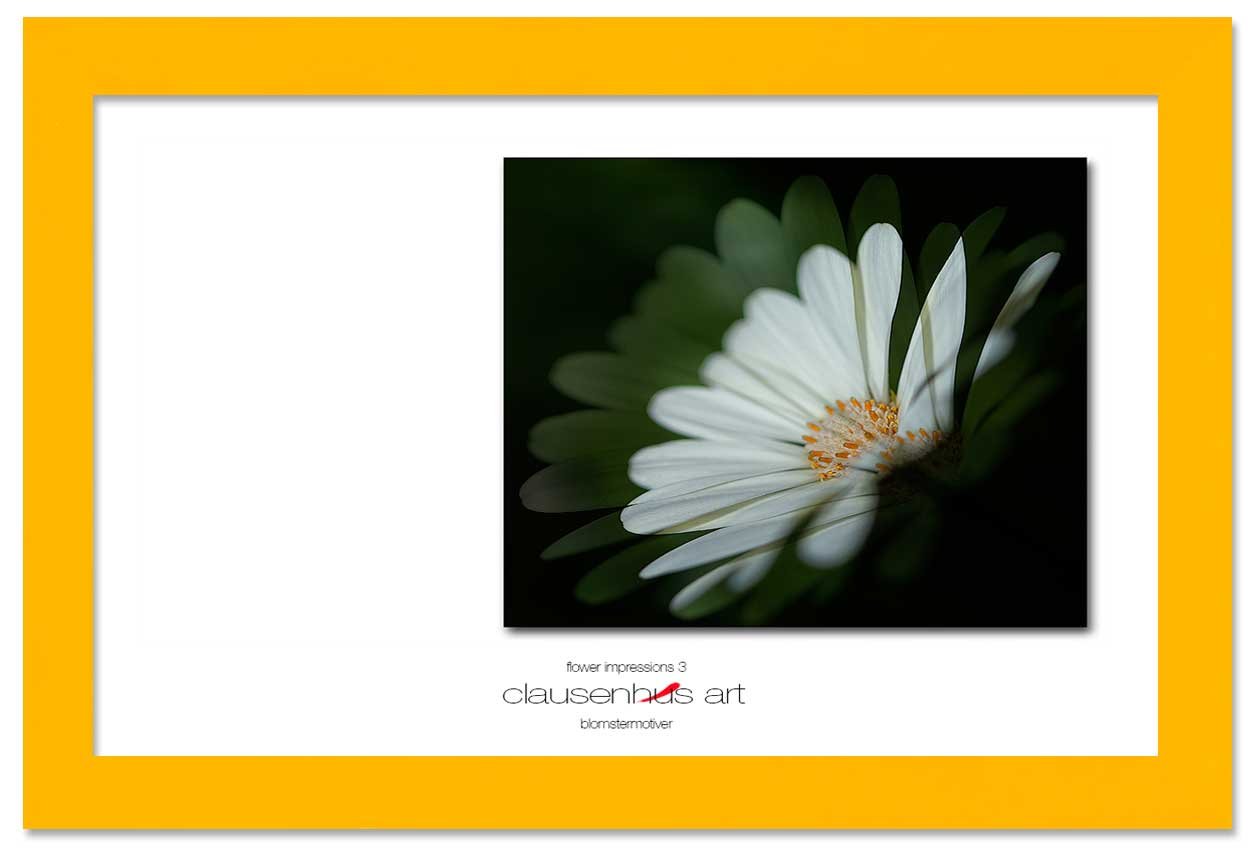 flower-impressions-3-copy.jpg