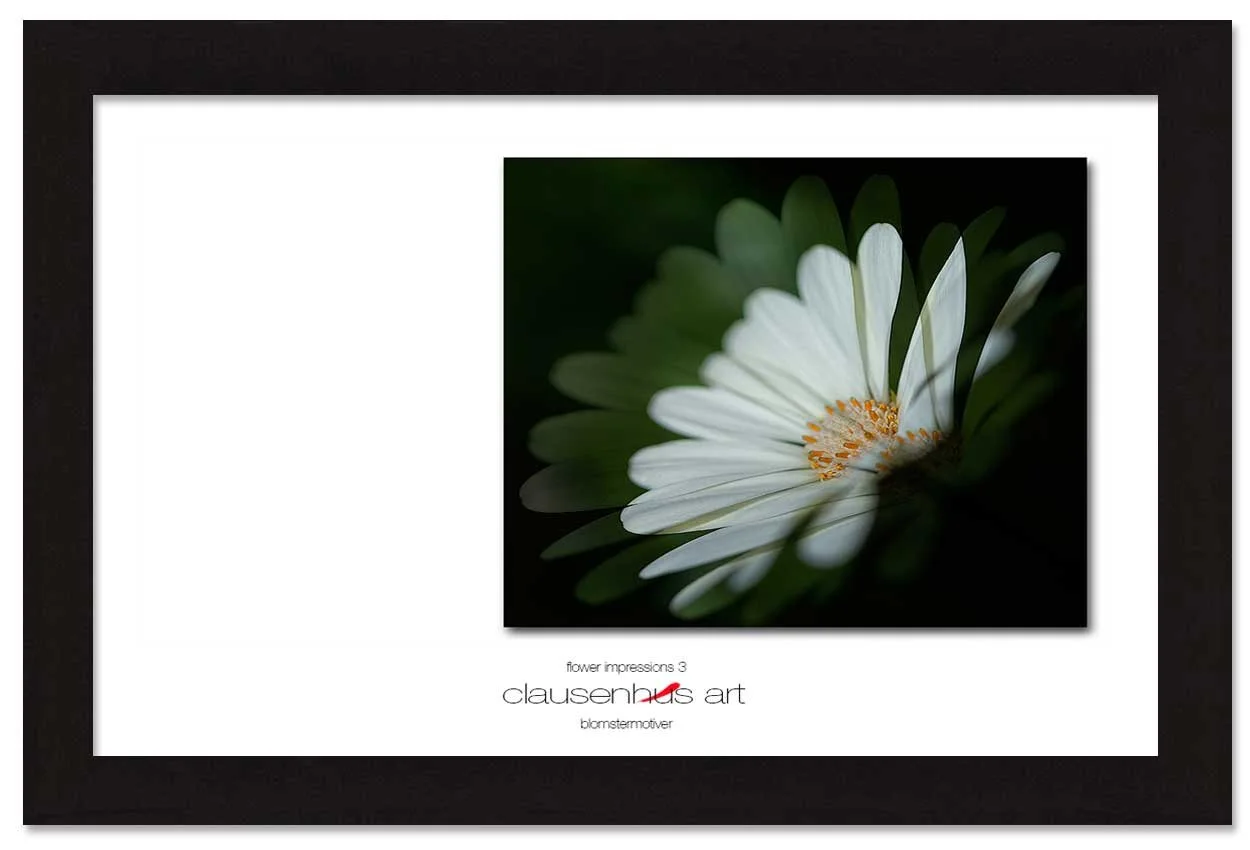 flower-impressions-3-copy.jpg