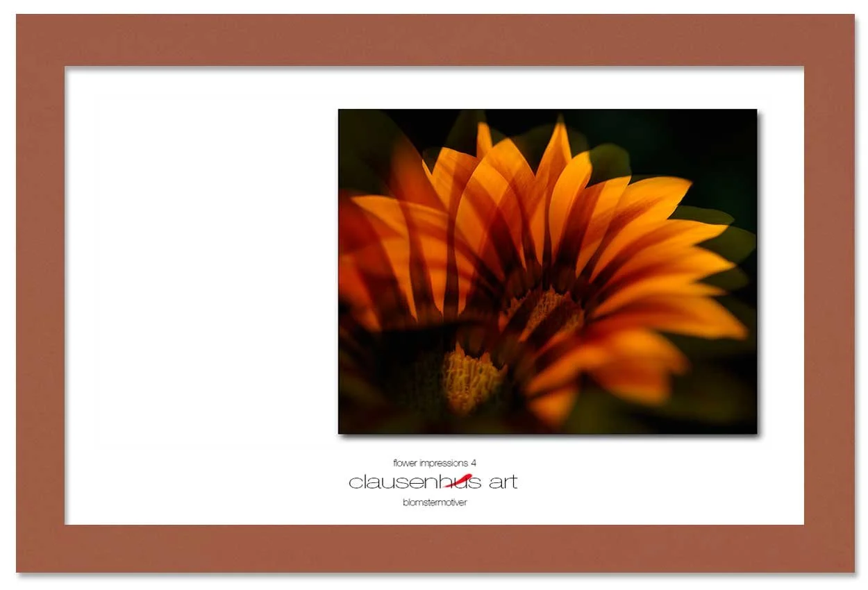 flower-impressions-4-copy.jpg