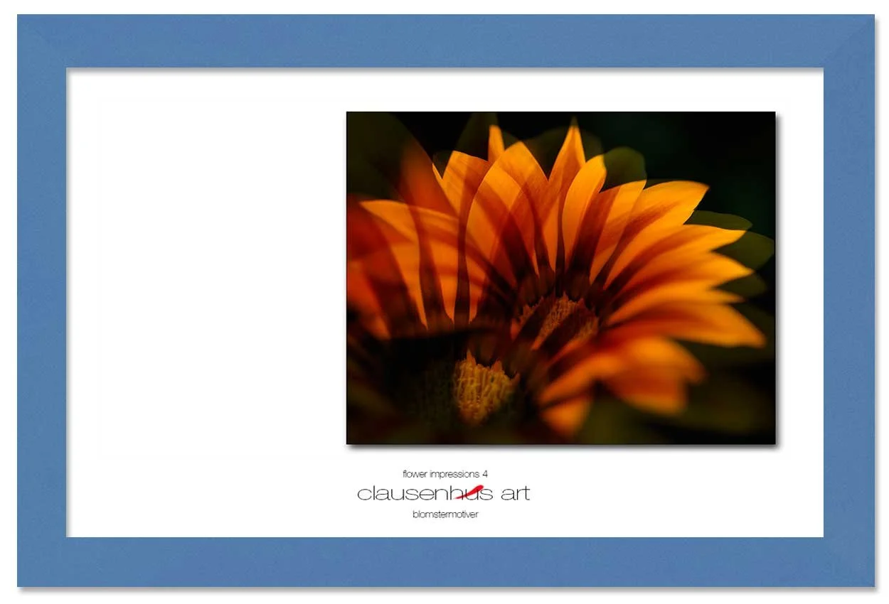 flower-impressions-4-copy.jpg