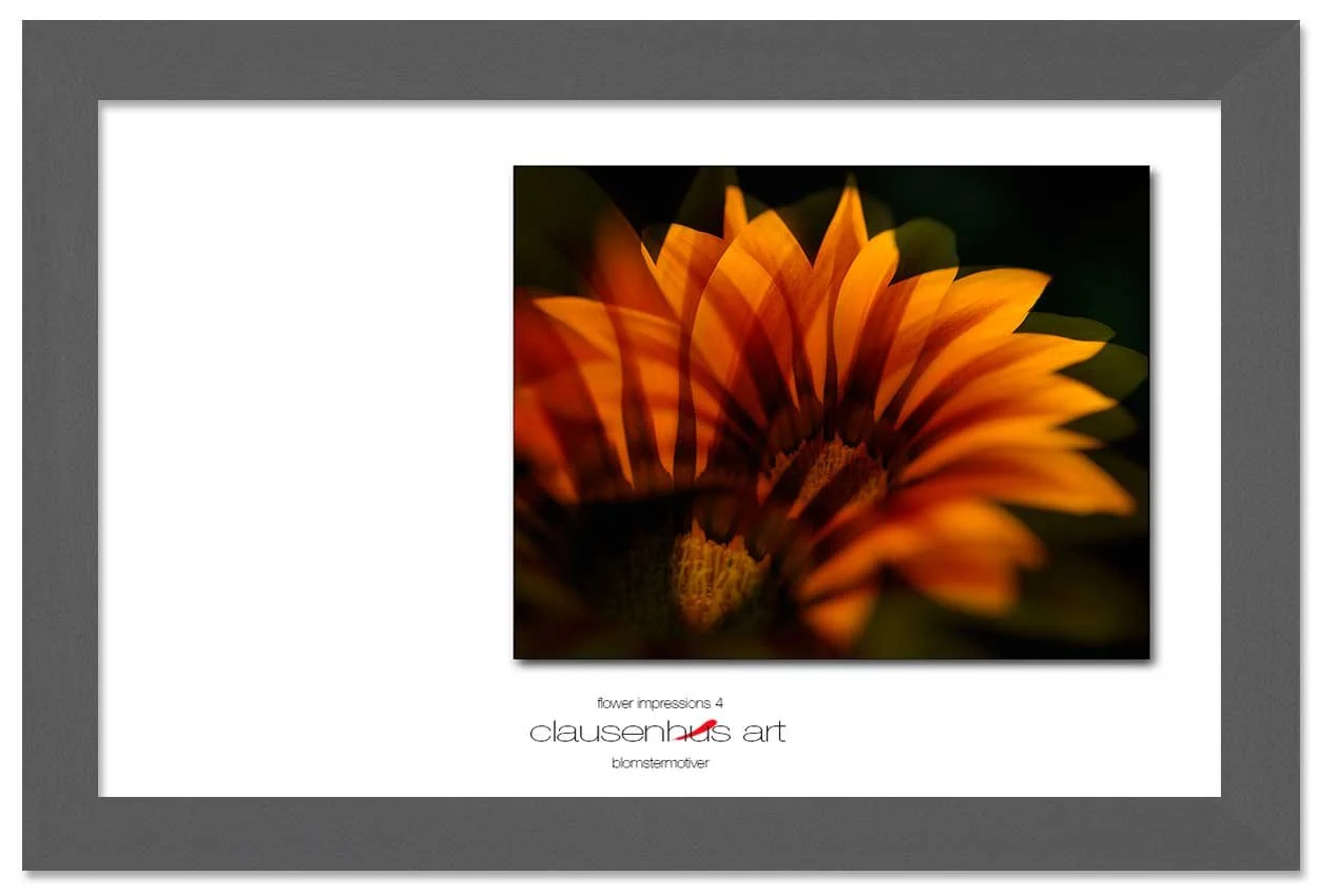 flower-impressions-4-copy.jpg
