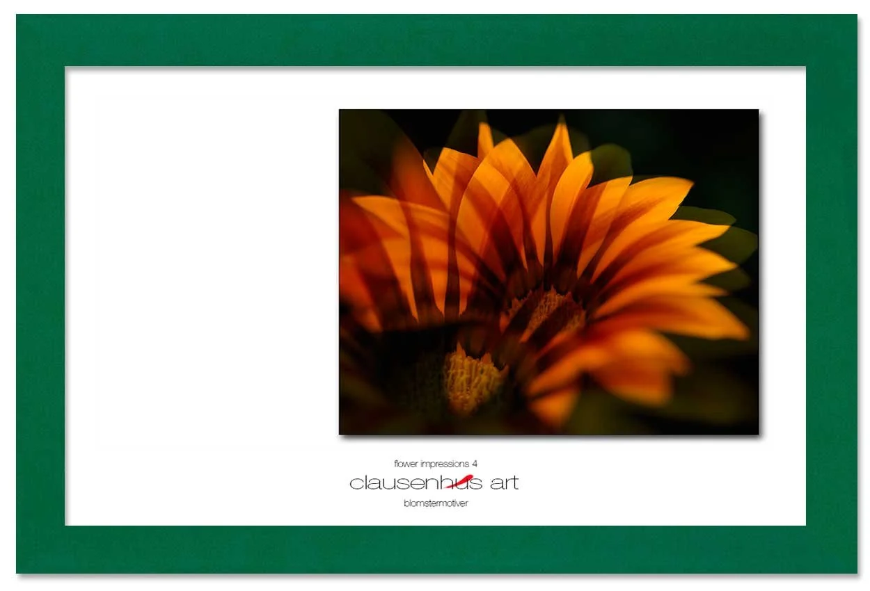 flower-impressions-4-copy.jpg