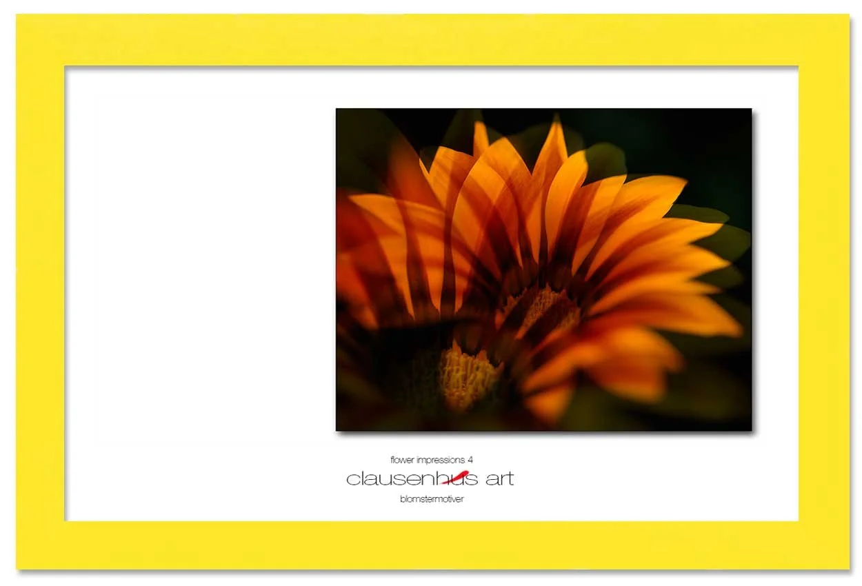 flower-impressions-4-copy.jpg
