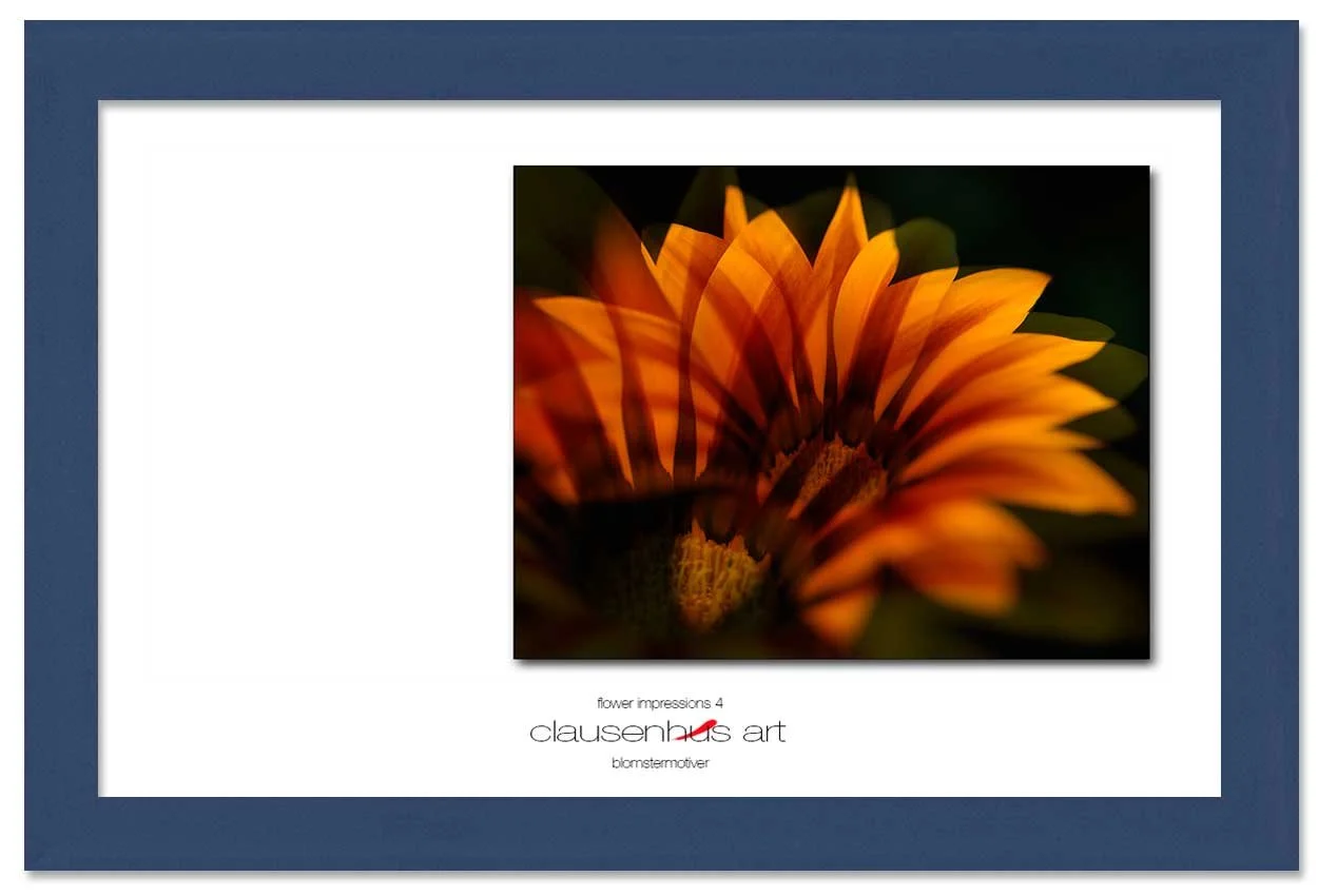flower-impressions-4-copy.jpg
