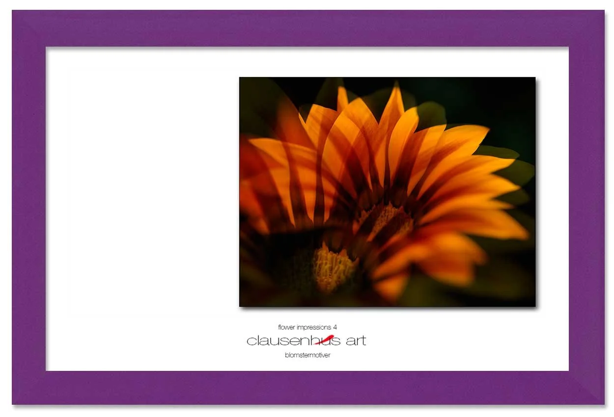 flower-impressions-4-copy.jpg