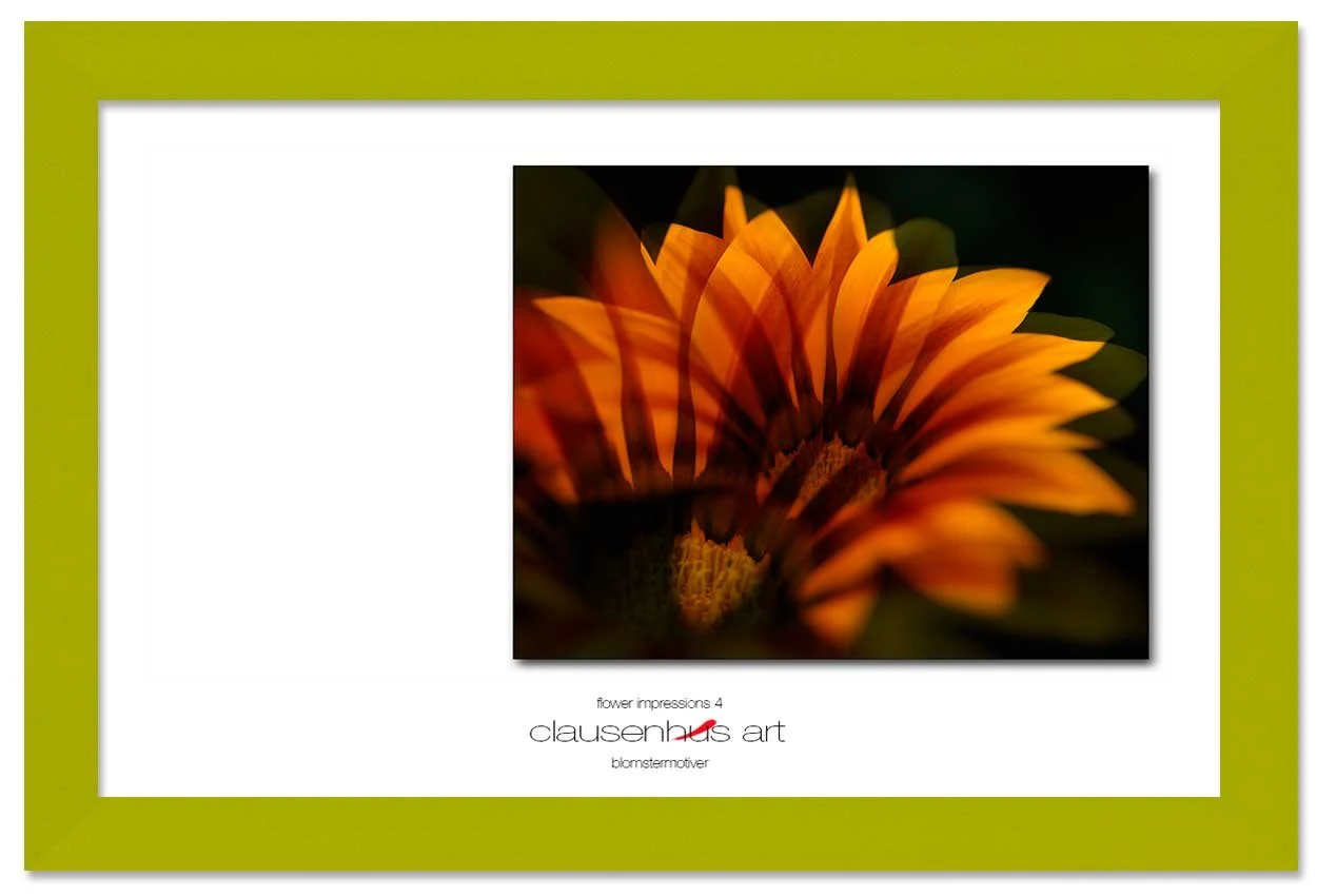 flower-impressions-4-copy.jpg